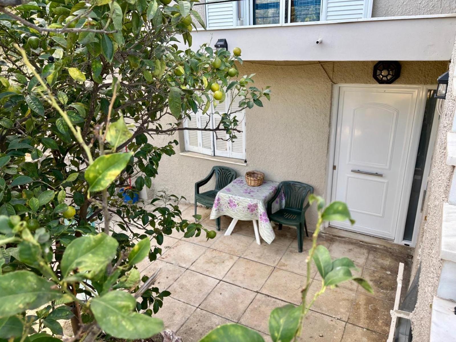 Studio with Terrace photo 3