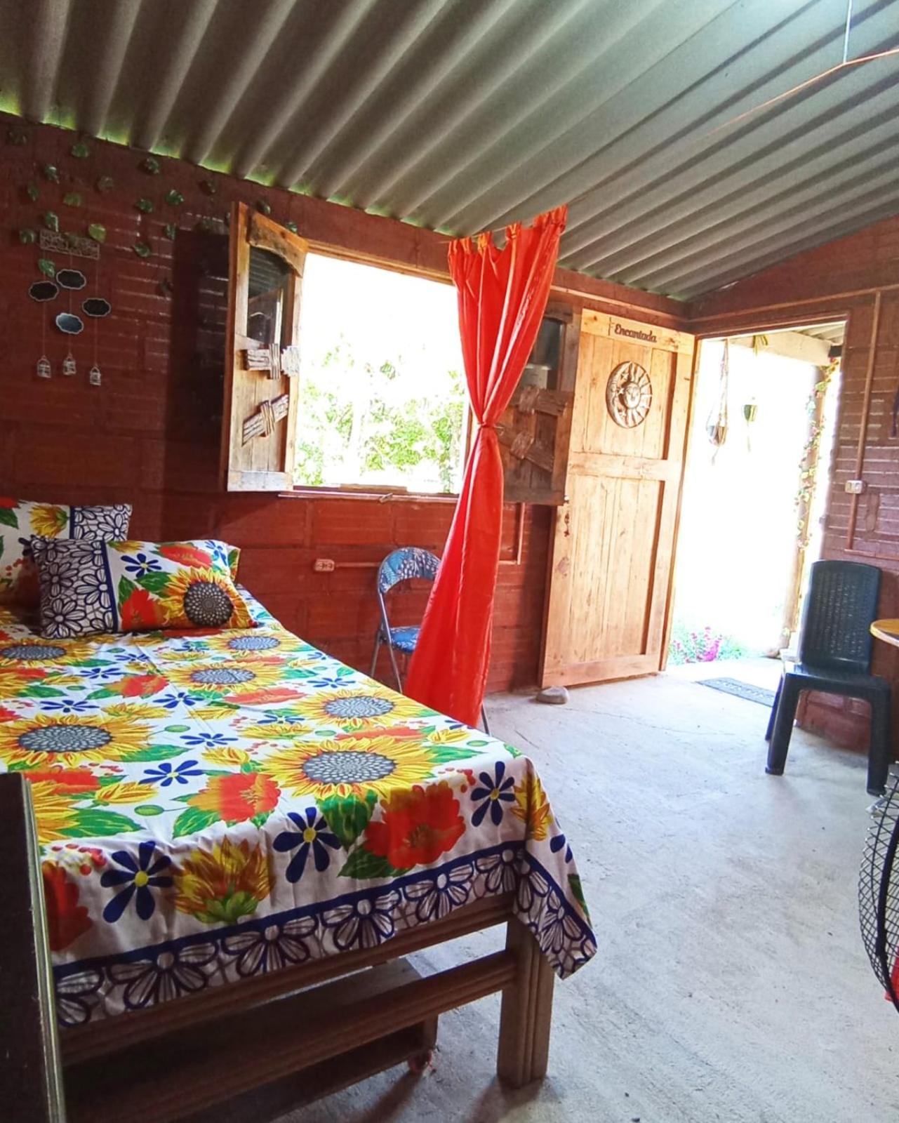 Double or Twin Room photo 2
