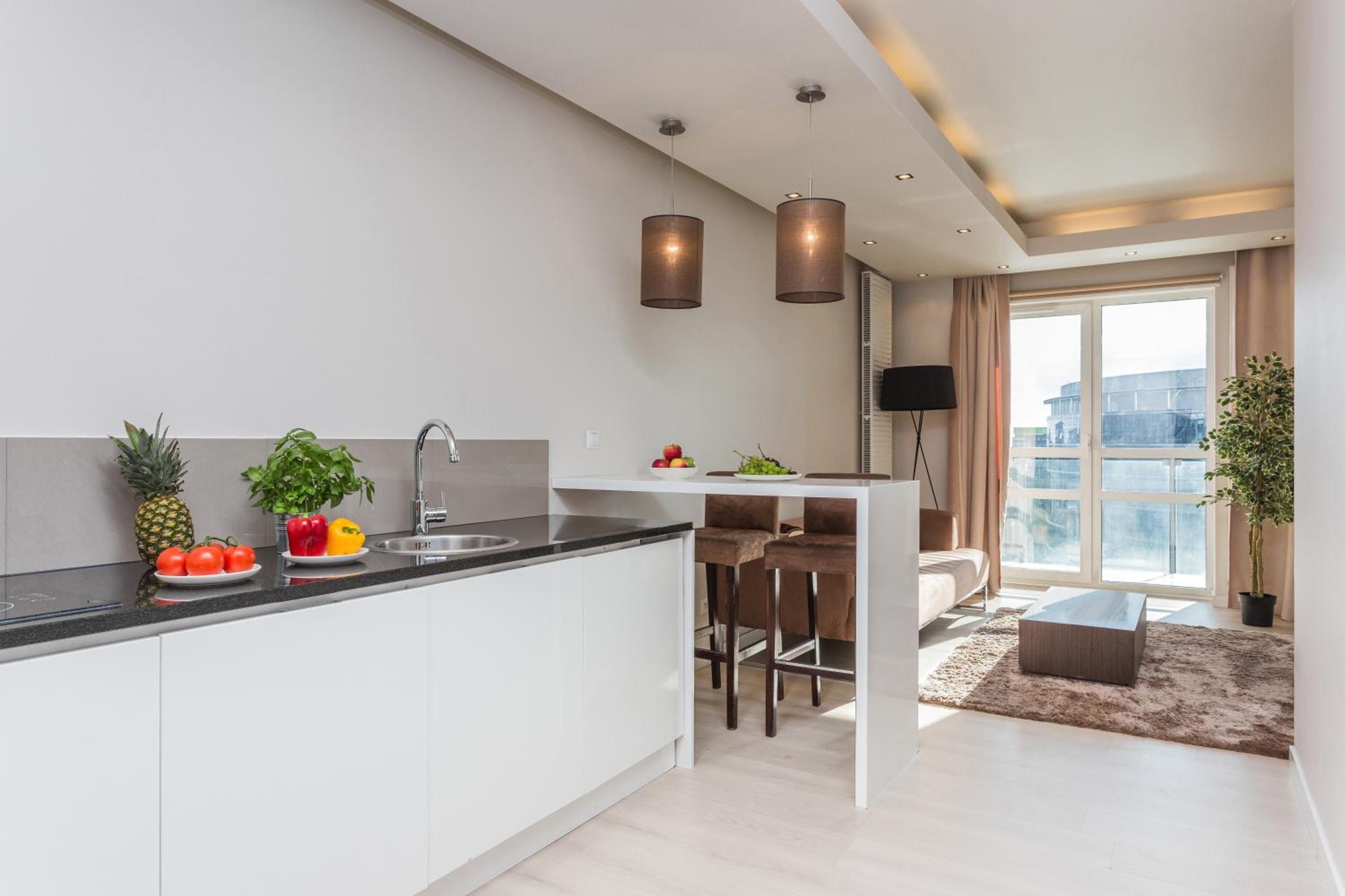 One-Bedroom Apartment - Photo 4