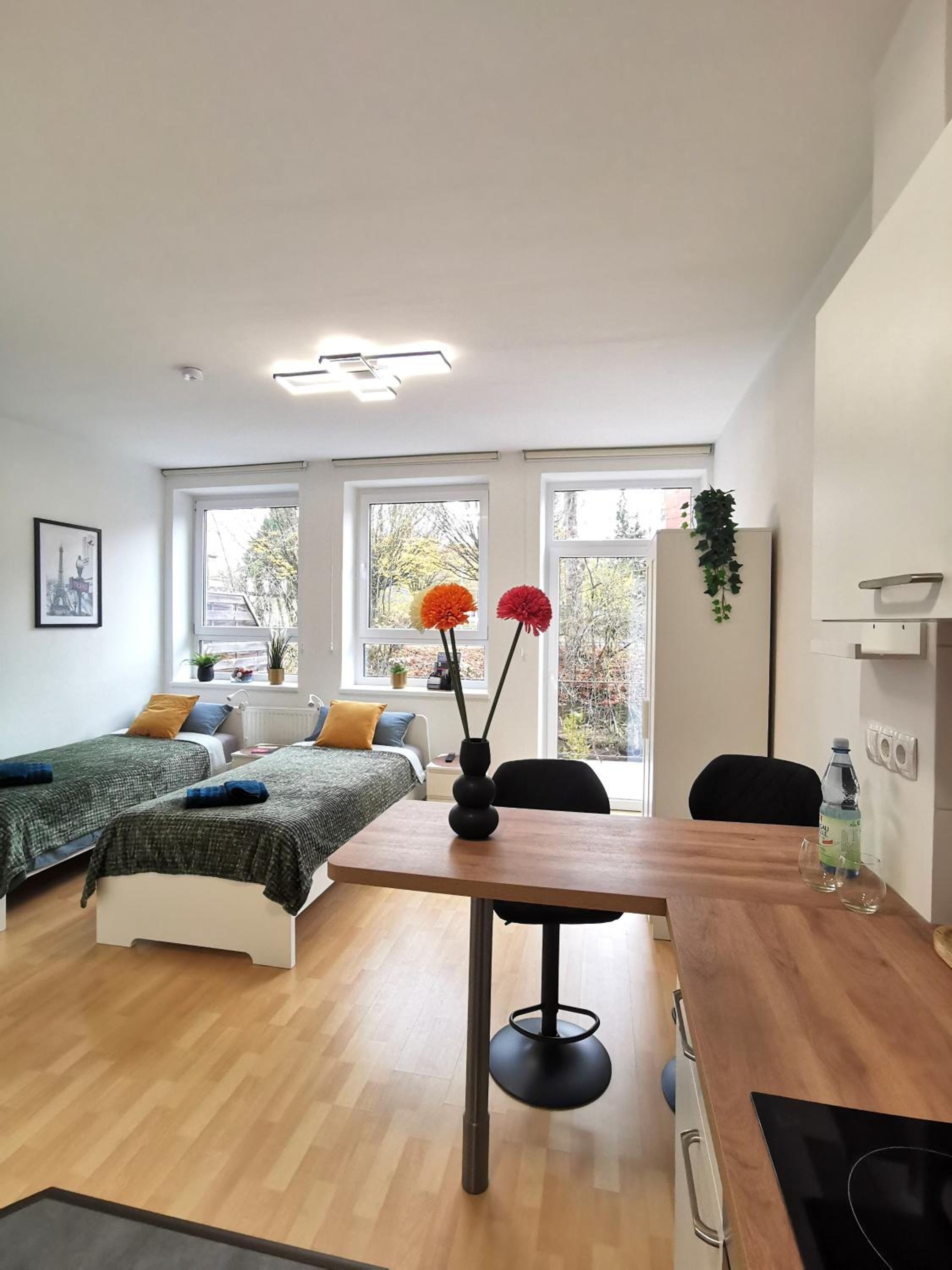 One-Bedroom Apartment with Balcony photo 2