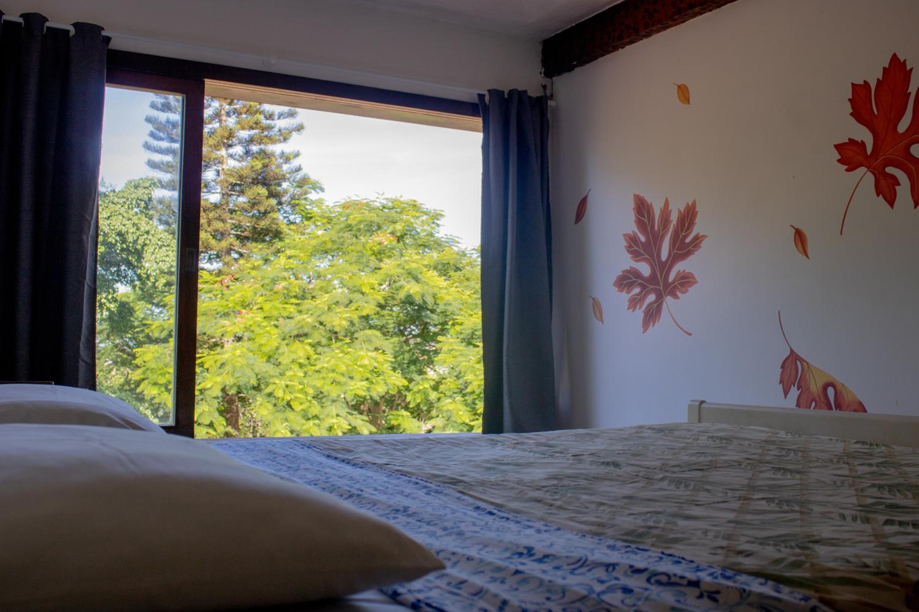 Superior with Garden View - Photo 3