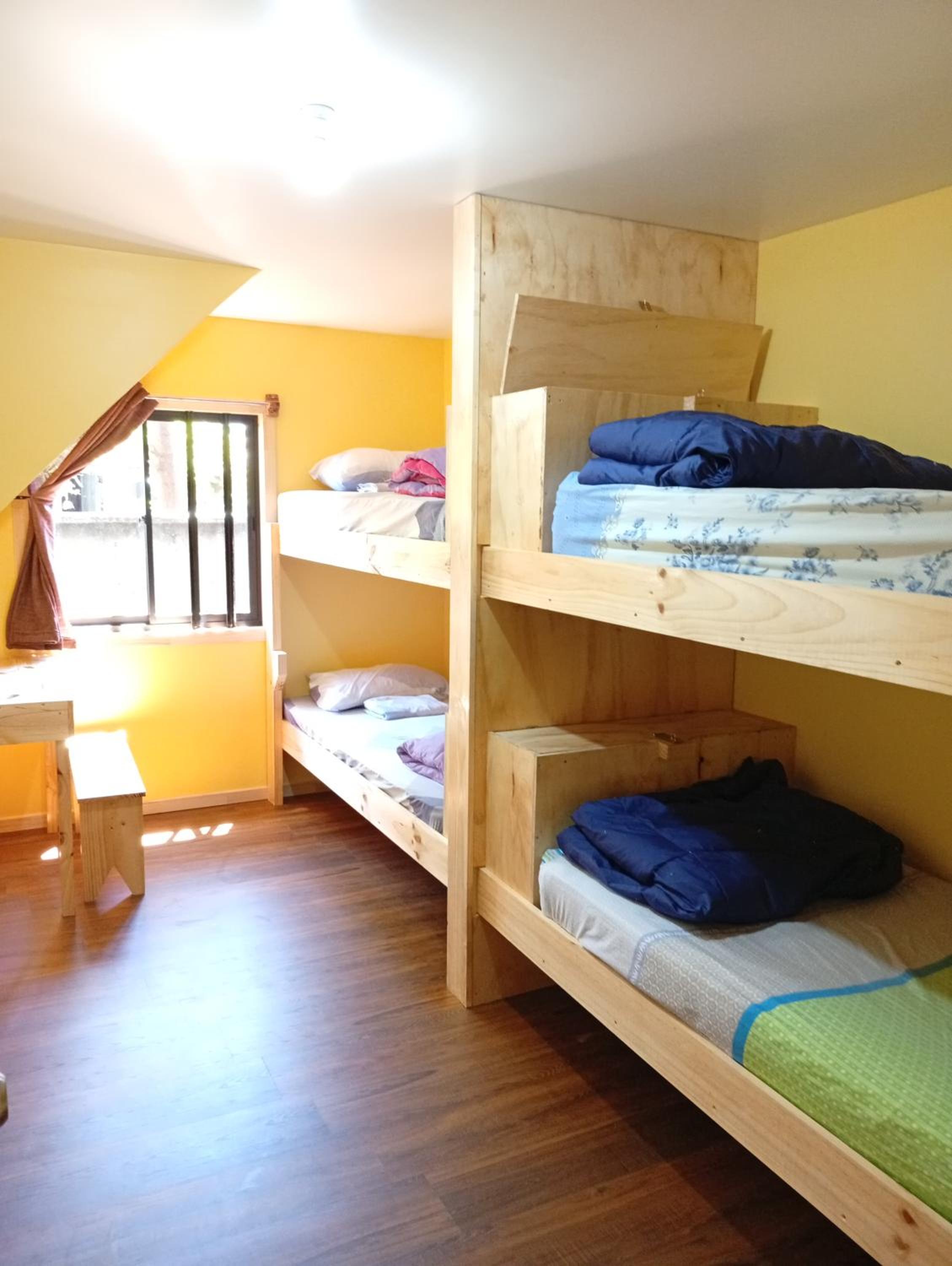 Bed in 4-Bed Dormitory Room photo 1