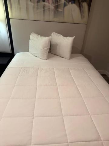 Deluxe Queen Suite photo 1