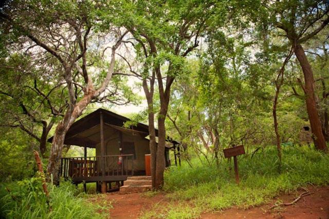 Tent - Tholo Tented Camp photo 3