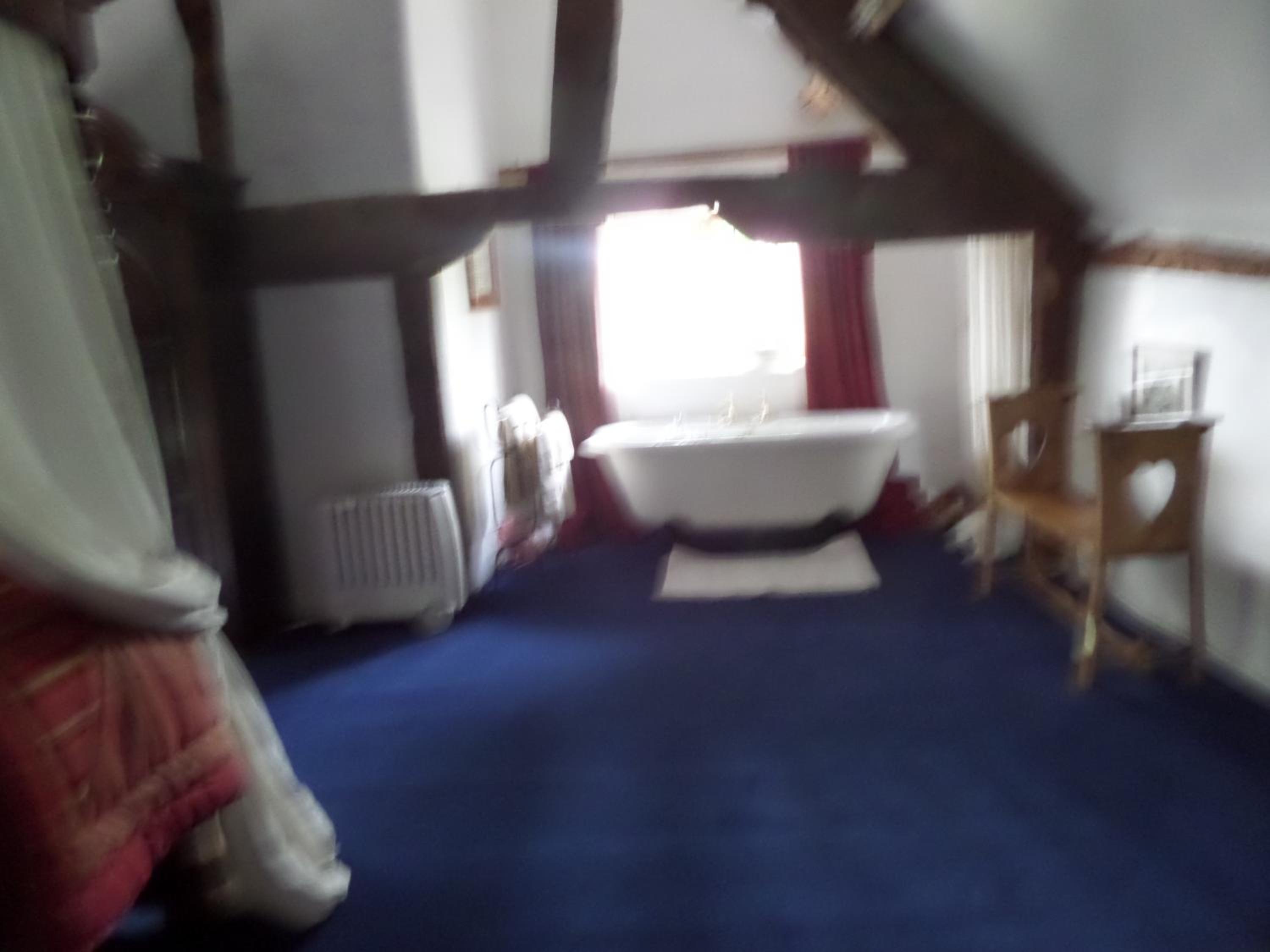 Luxury Suite photo 1