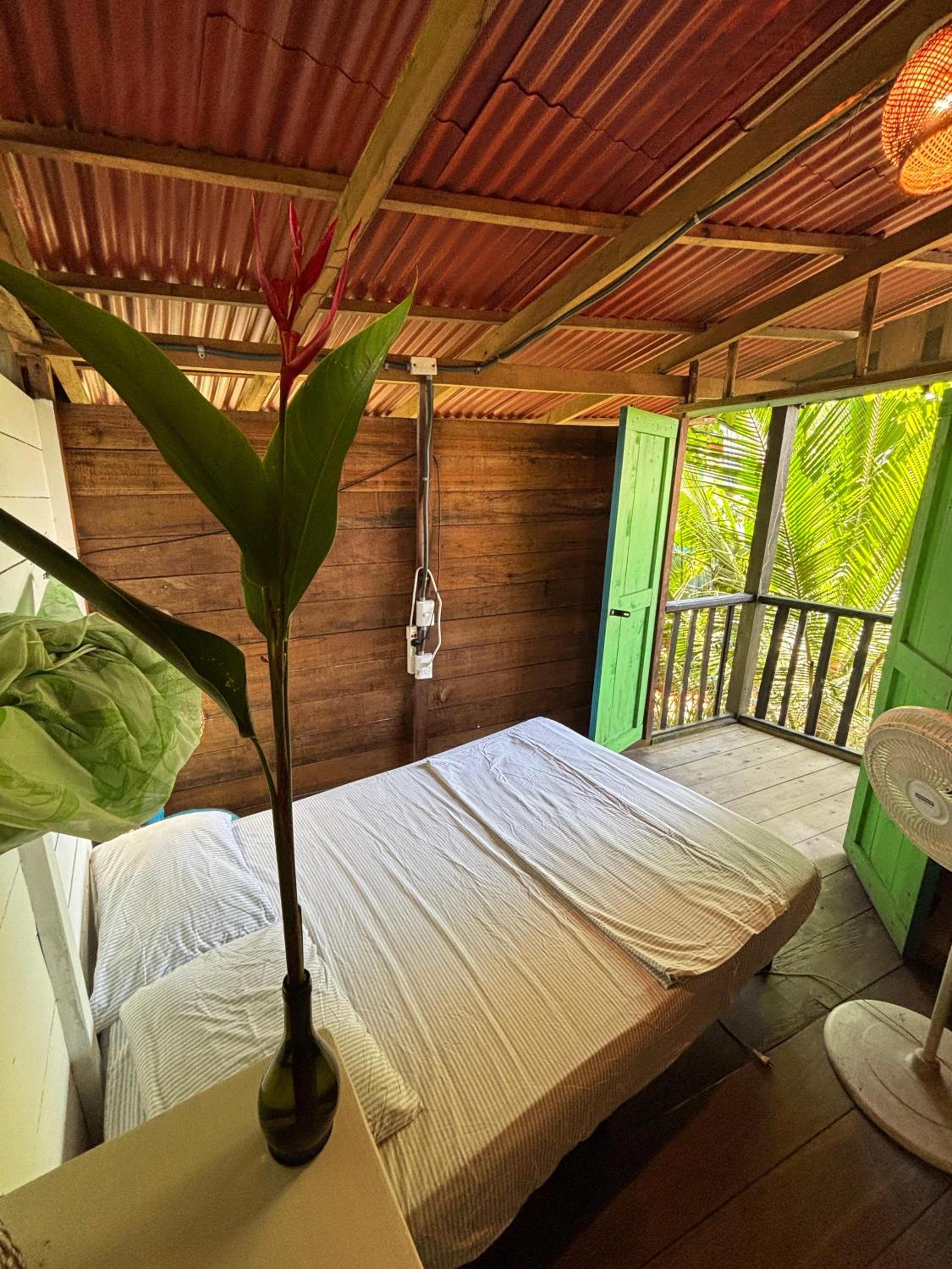 Bed in 4-Bed Dormitory Room photo 3
