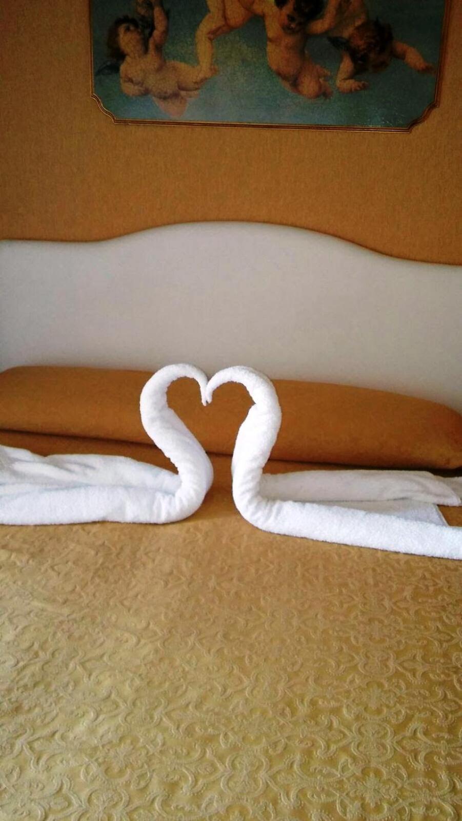 Double or Twin Room photo 3