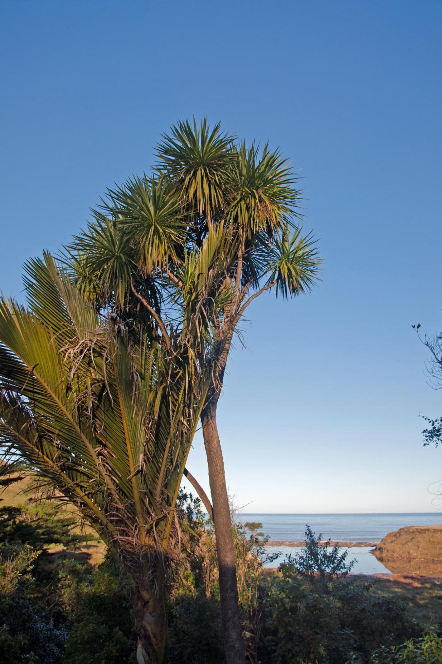Vacation Home photo 2