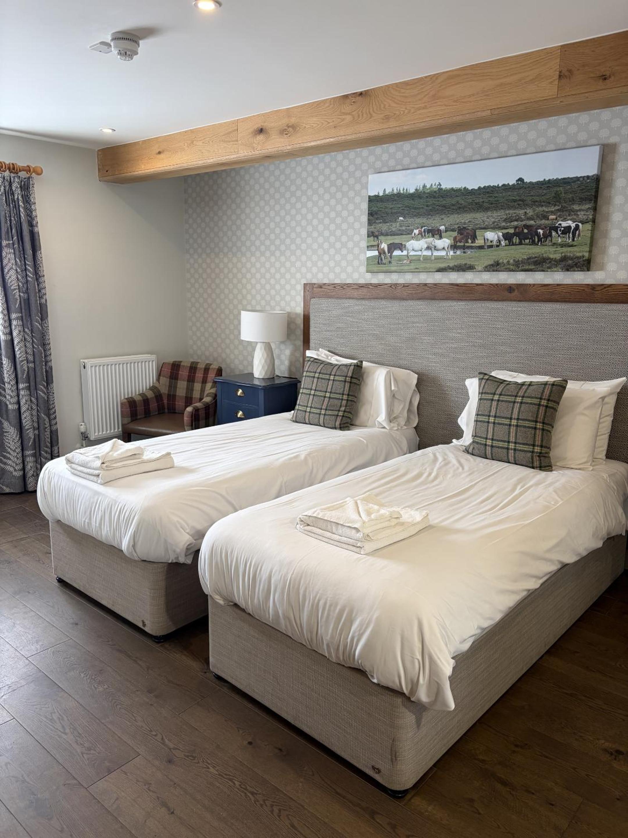 Twin Room photo 2