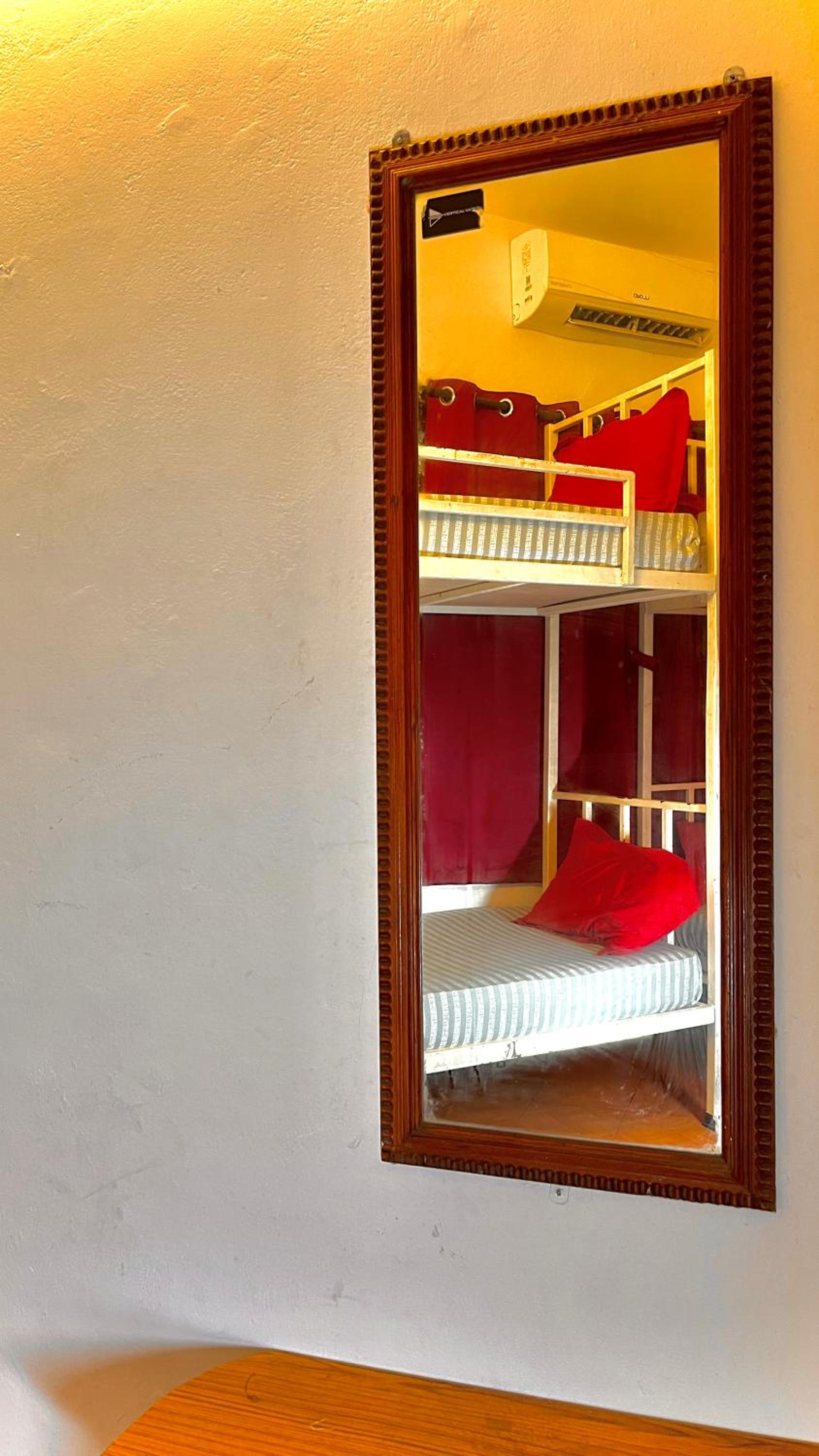 Bunk Bed in Mixed Dormitory Room photo 3