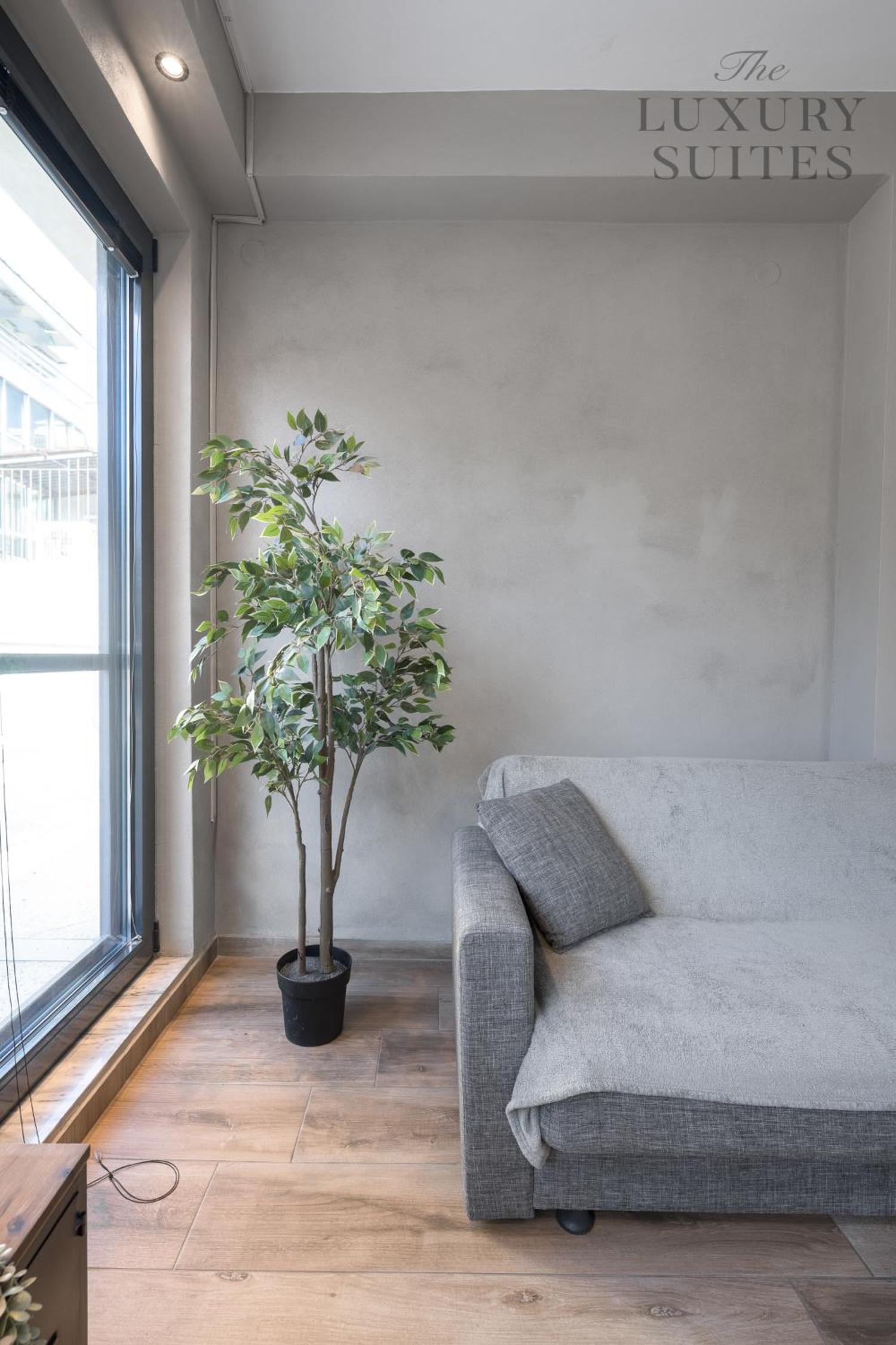 King Studio with Sofa Bed