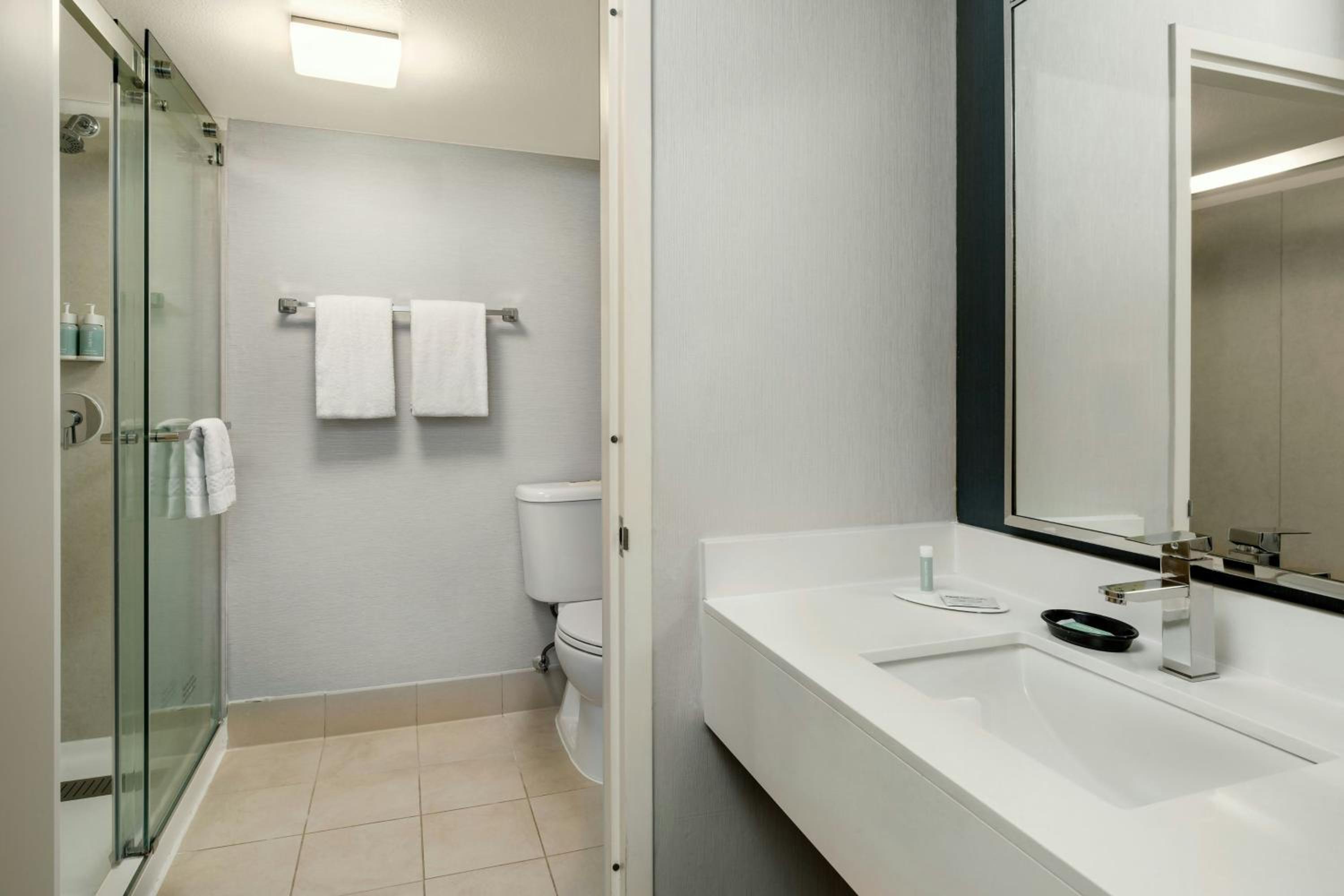 King Room with Sofa Bed and Roll-in Shower - Mobility and Hearing Accessible photo 2