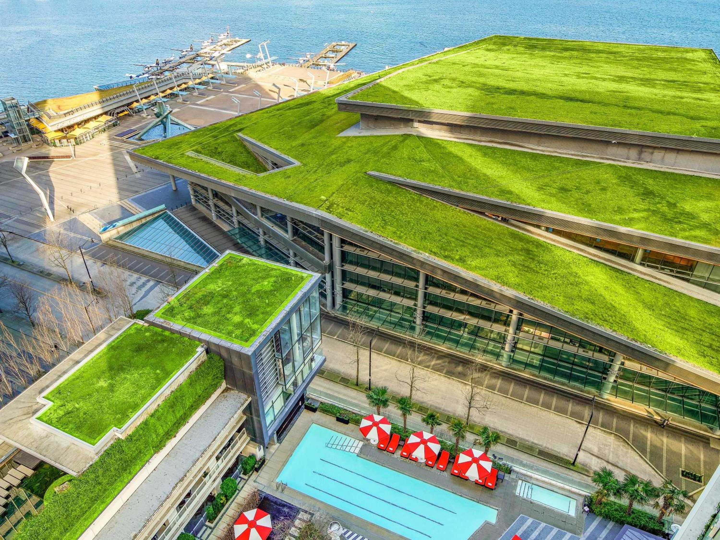 Deluxe Pool View King