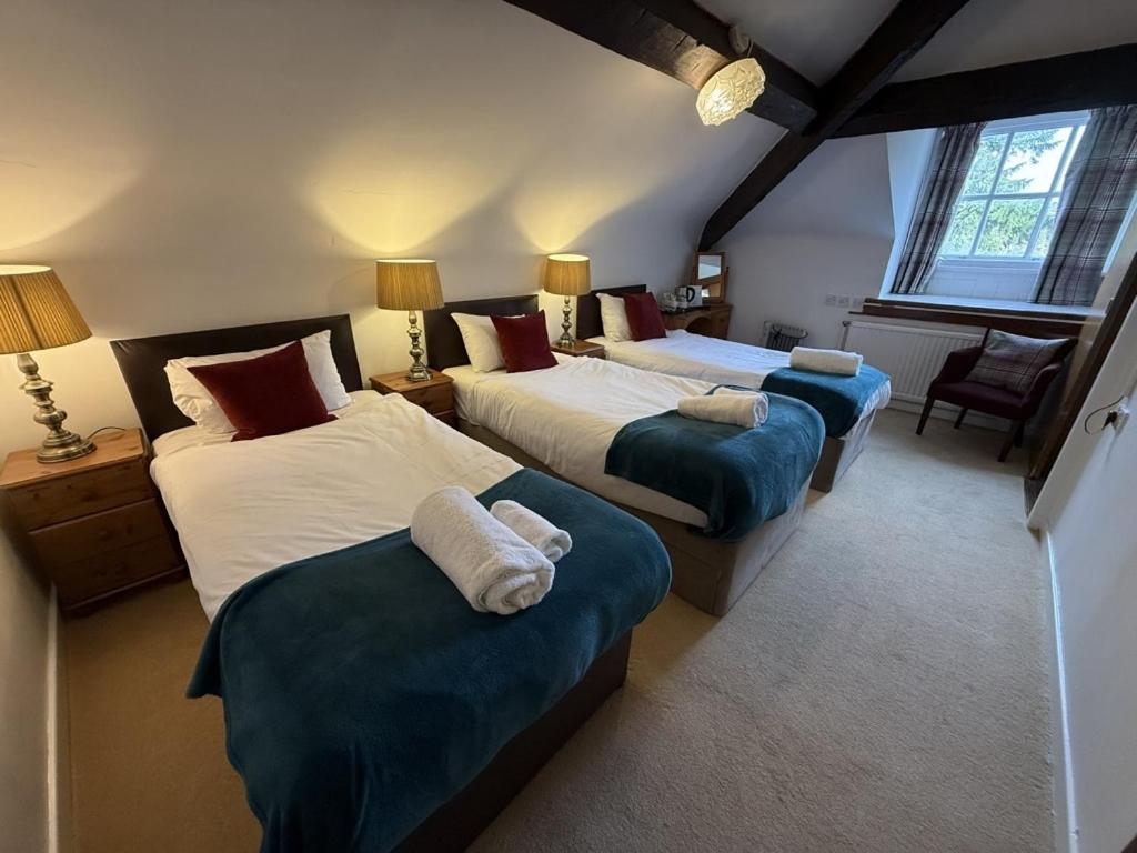 Budget Triple Room