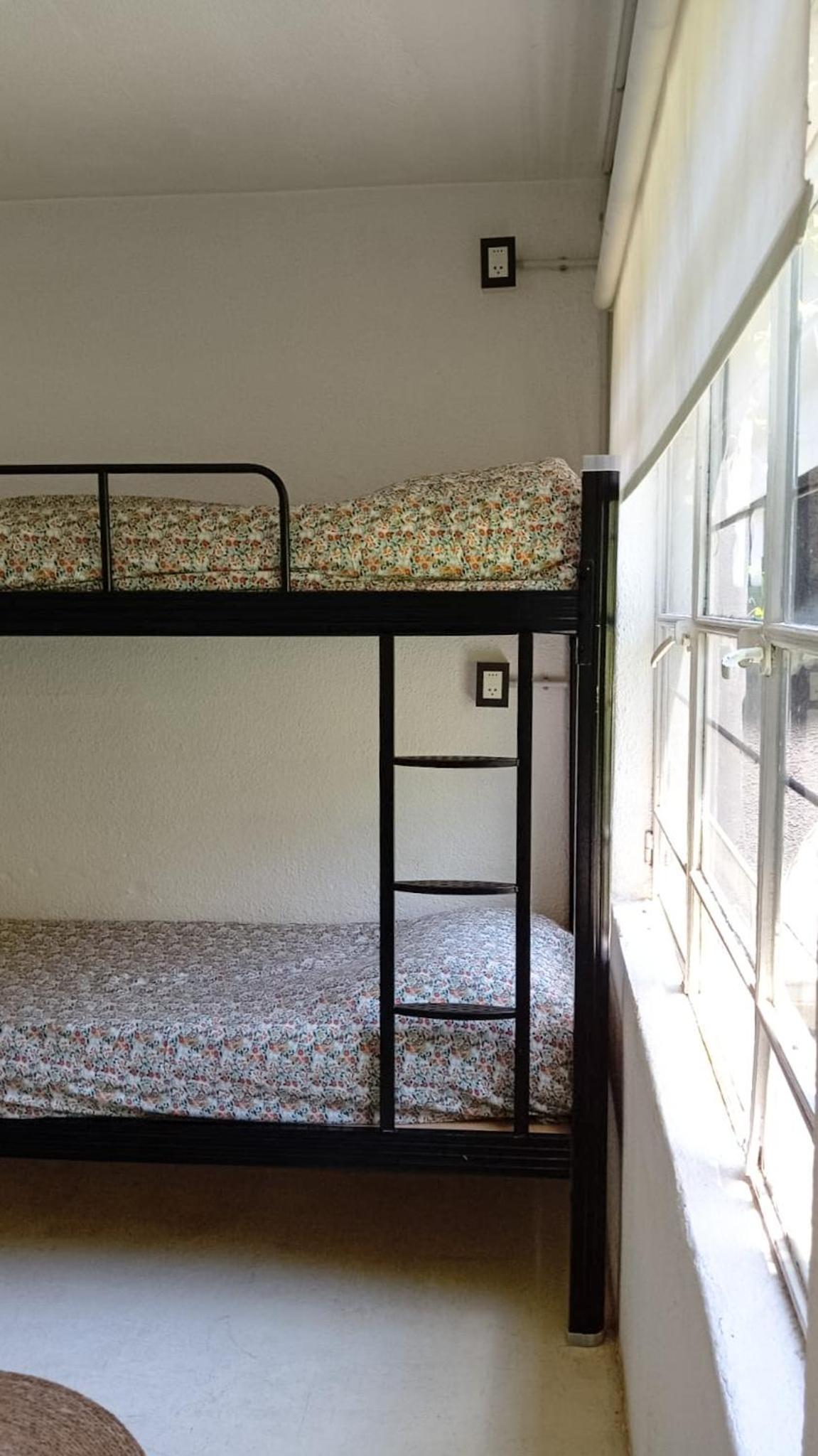 Bed in 4-Bed Dormitory Room
