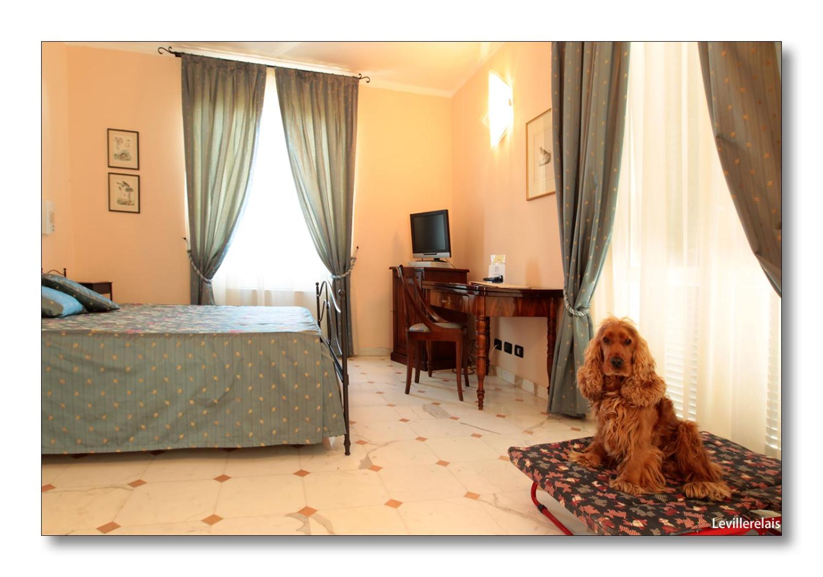 Deluxe Double Room - Photo 14