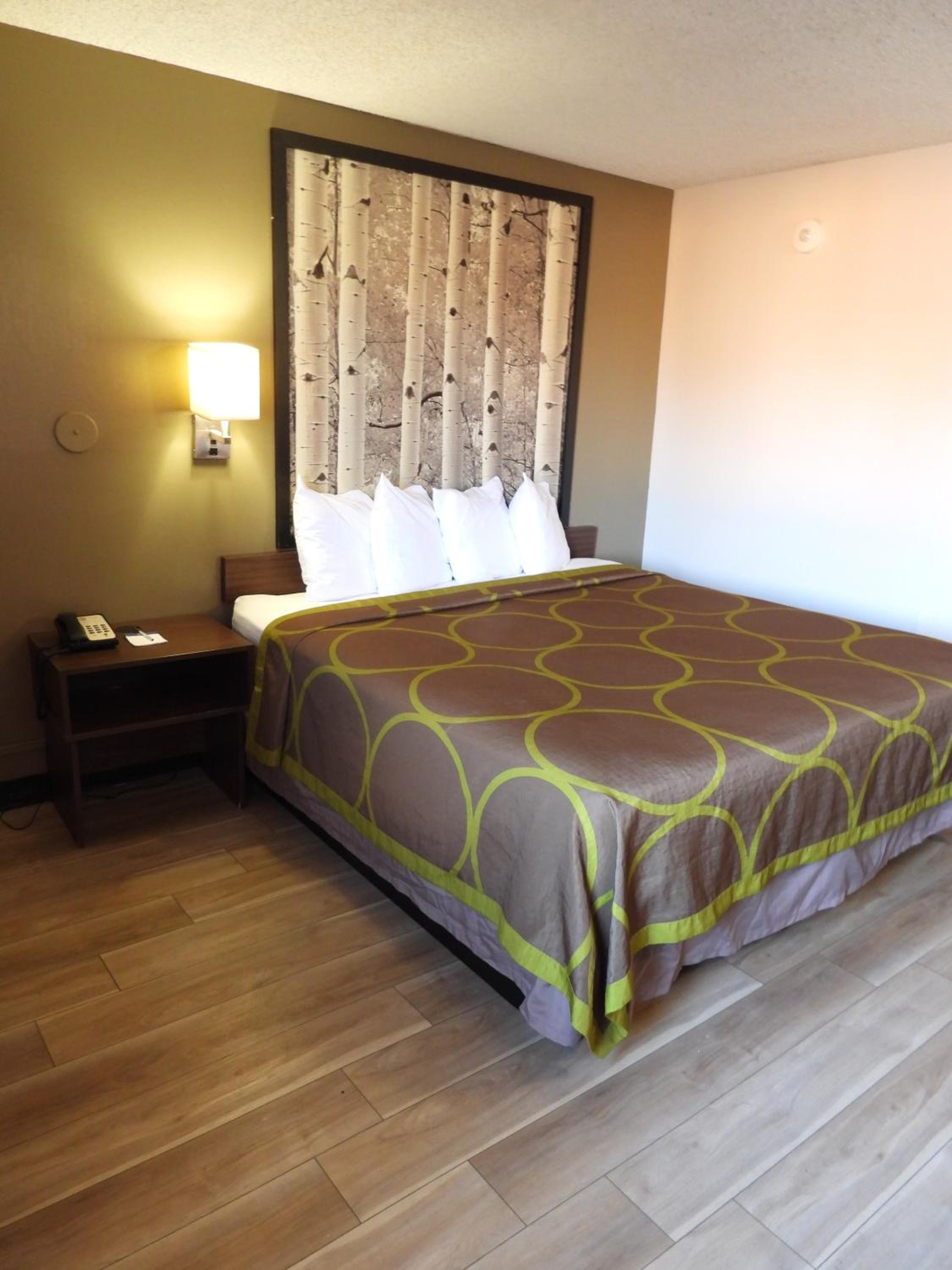 King Room with Roll-In Shower - Mobility/Hearing Accessible - Non-Smoking - Photo 1