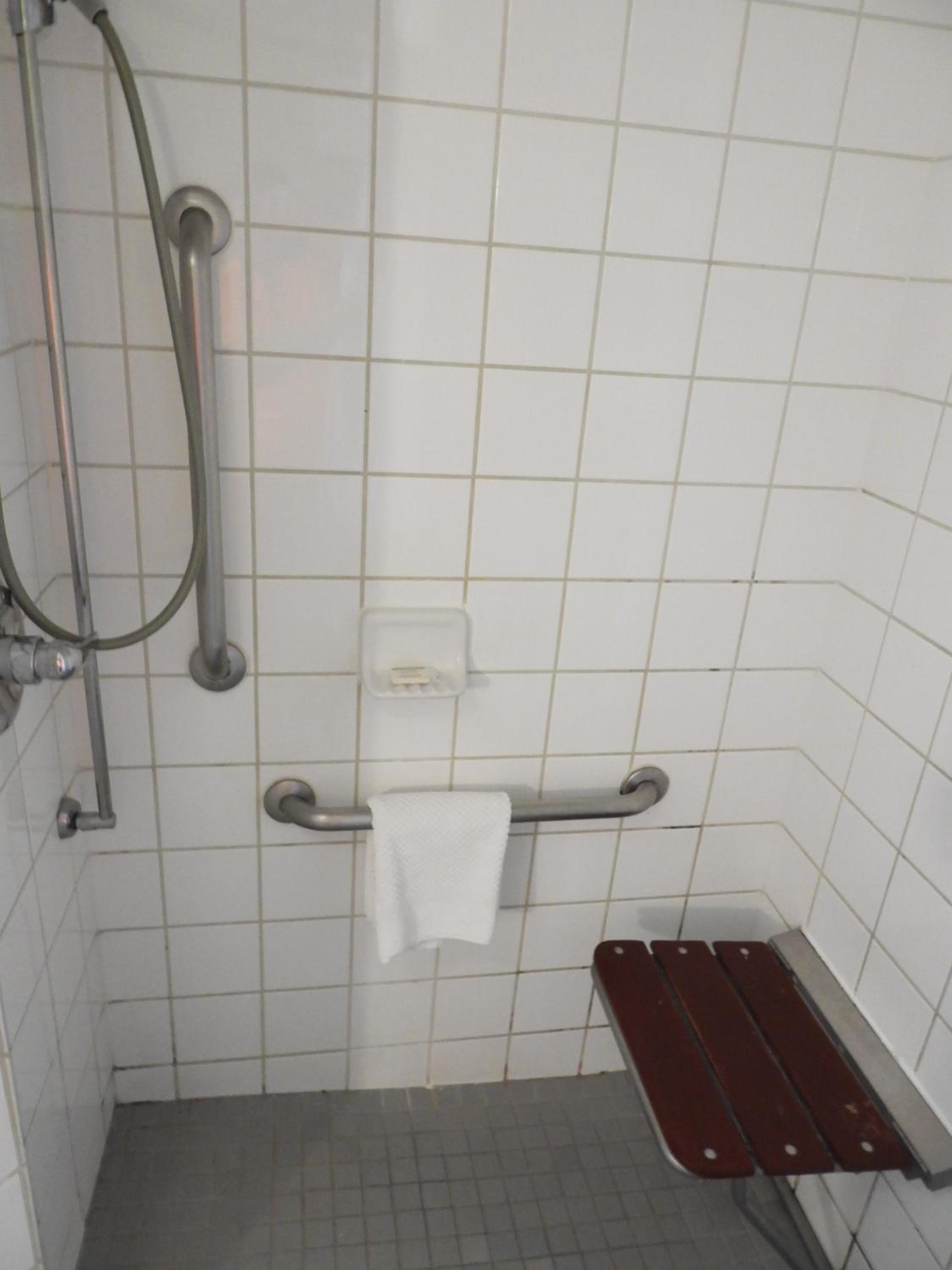 King Room with Roll-In Shower - Mobility/Hearing Accessible - Non-Smoking - Photo 3