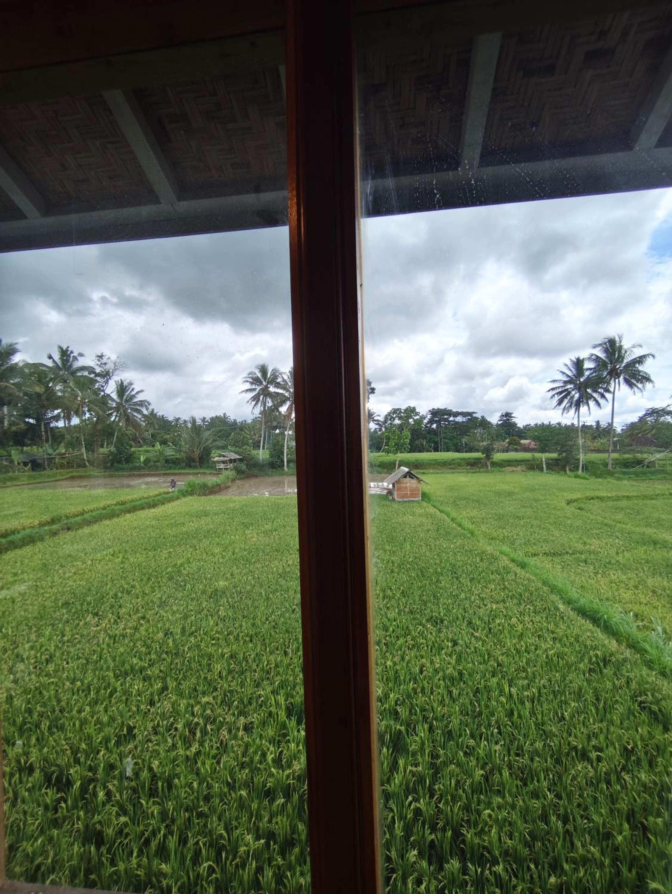 Triple Room with View photo 1