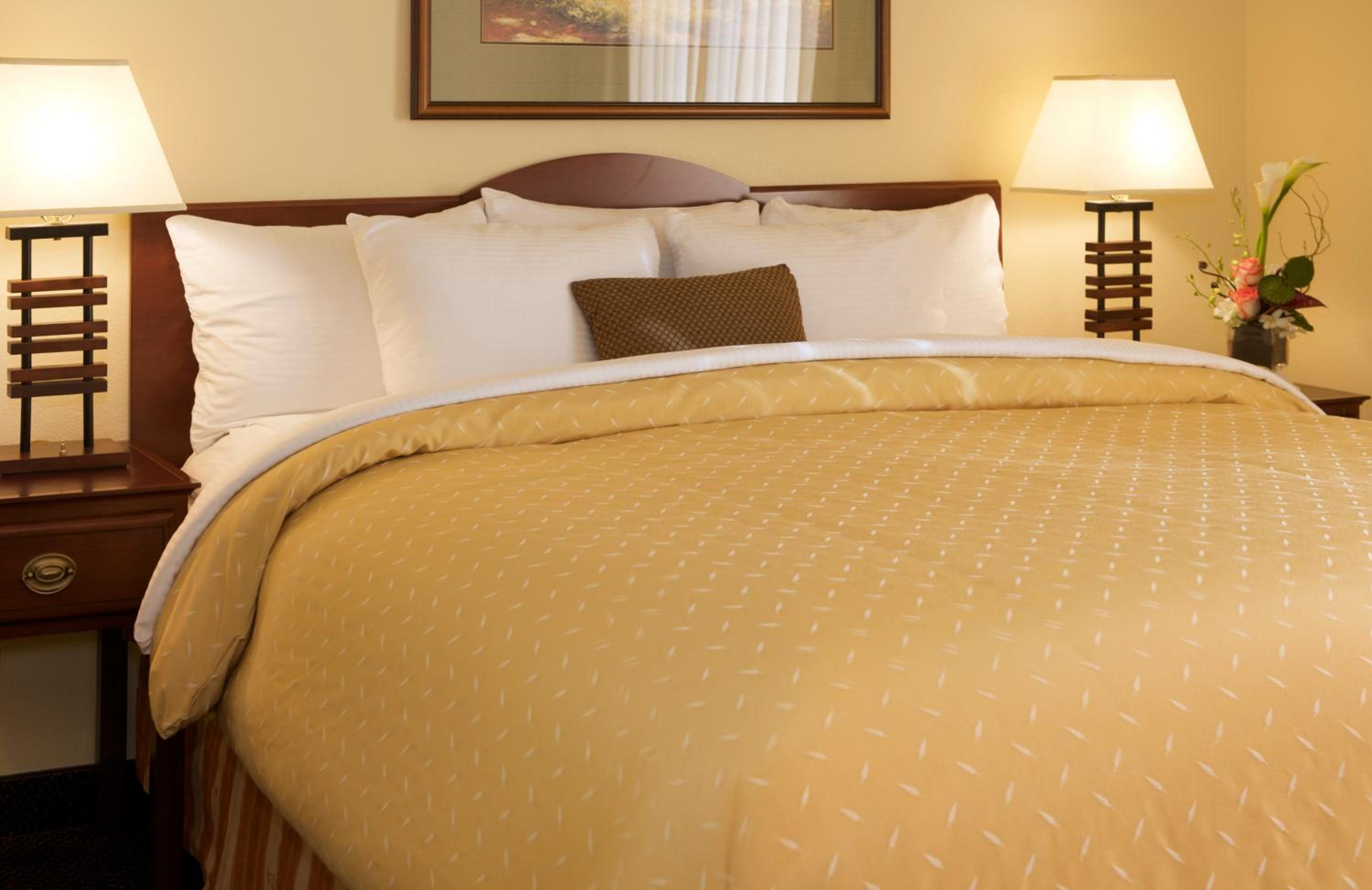 Executive Suite - Disability Access with Roll In Shower