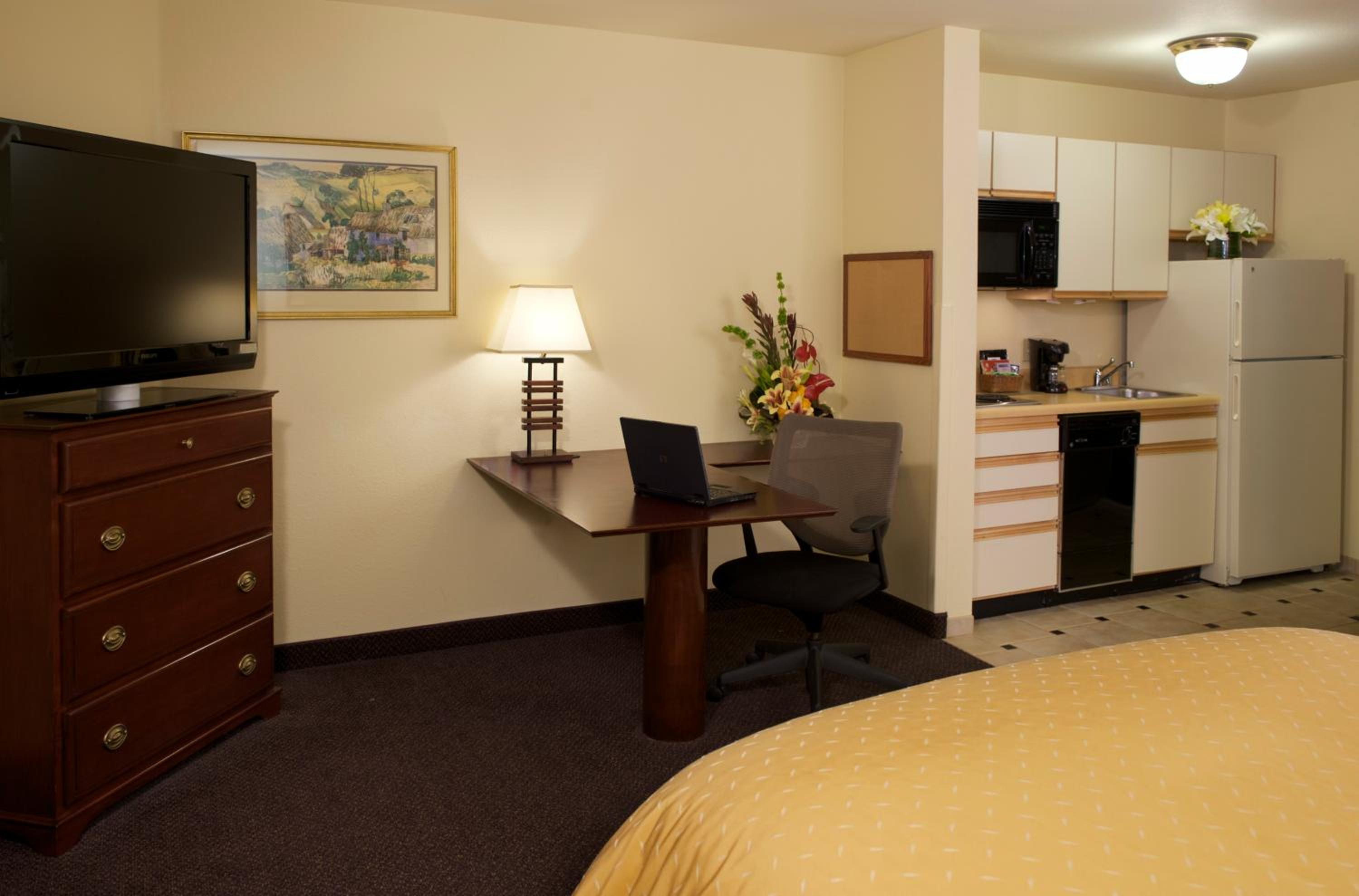 Studio Suite - Photo 1