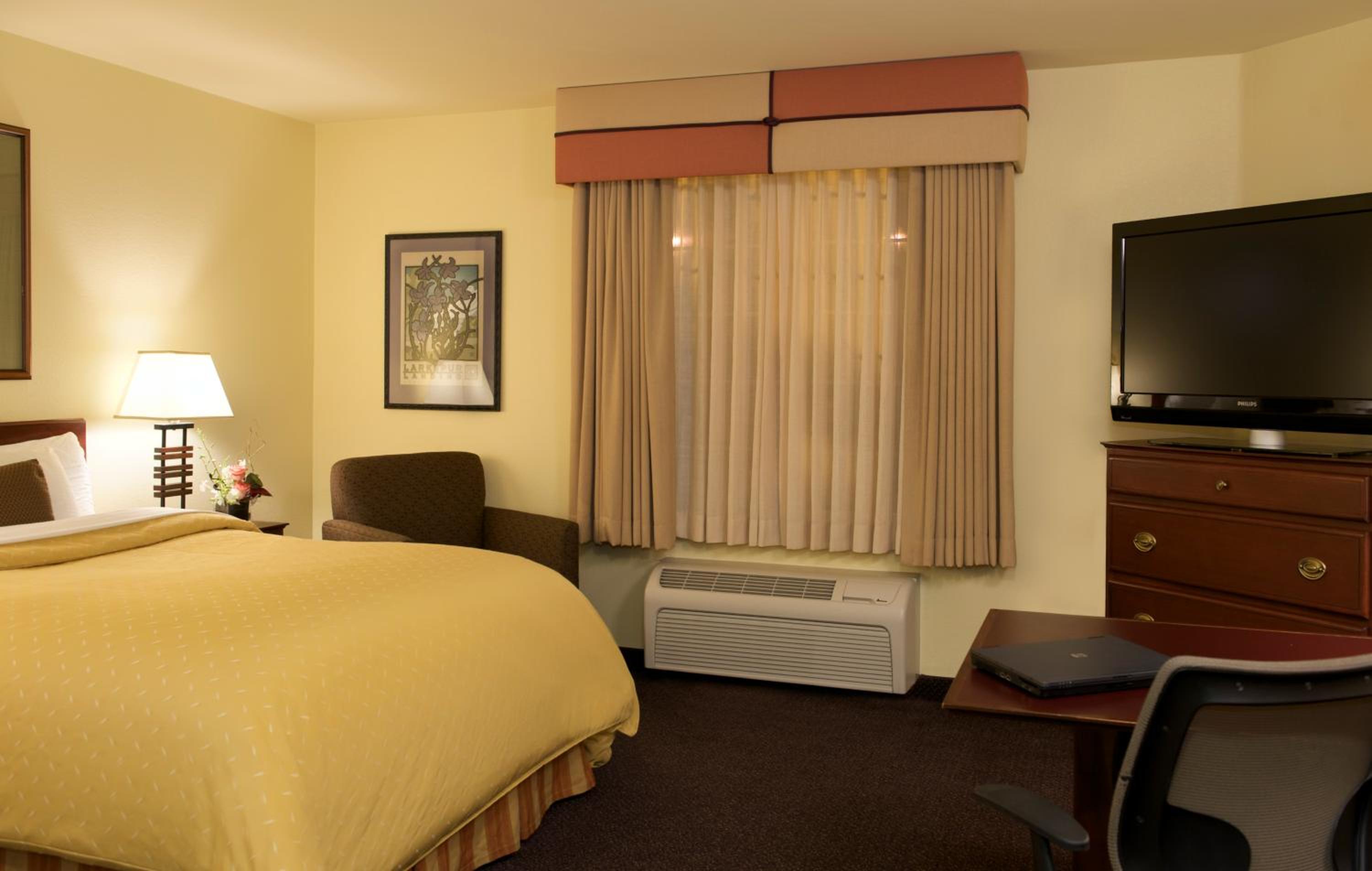 Studio Suite - Disability Access - Photo 4