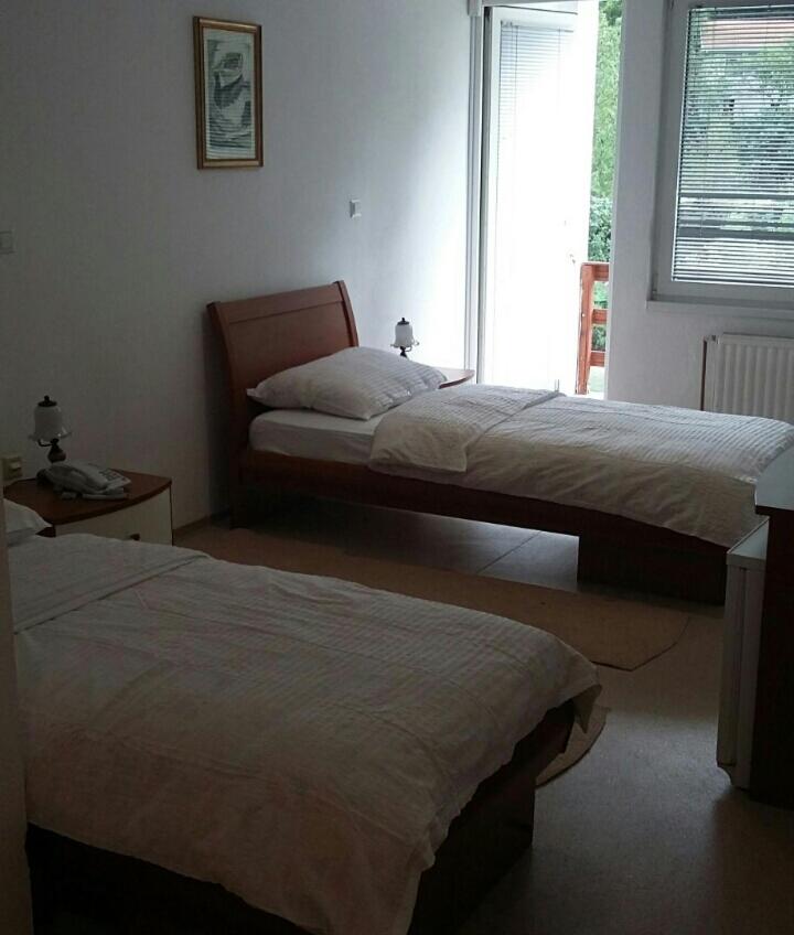 Deluxe Double or Twin Room photo 3