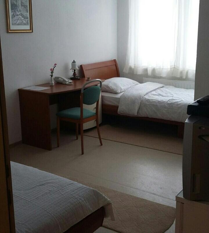 Deluxe Double or Twin Room photo 2