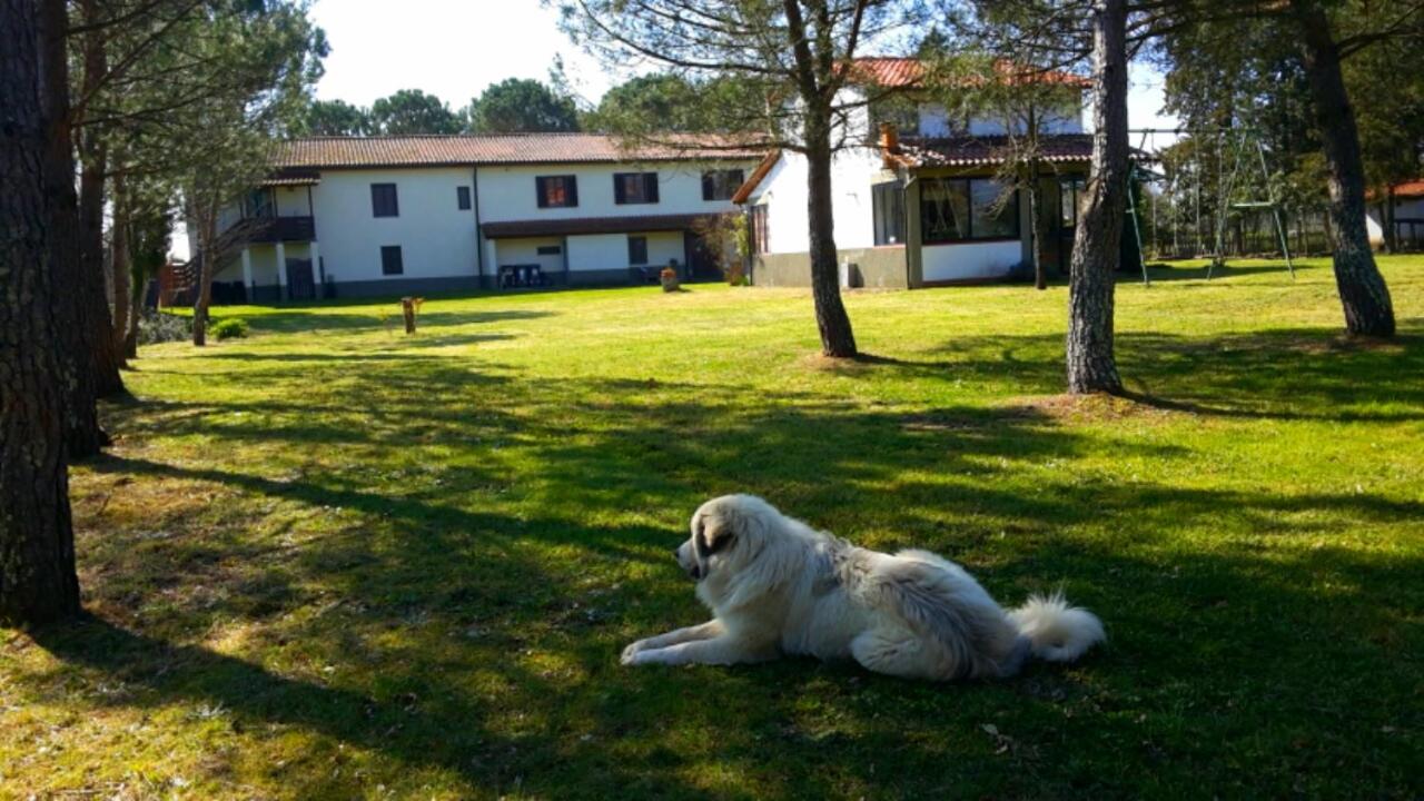 Vacation Home photo 3