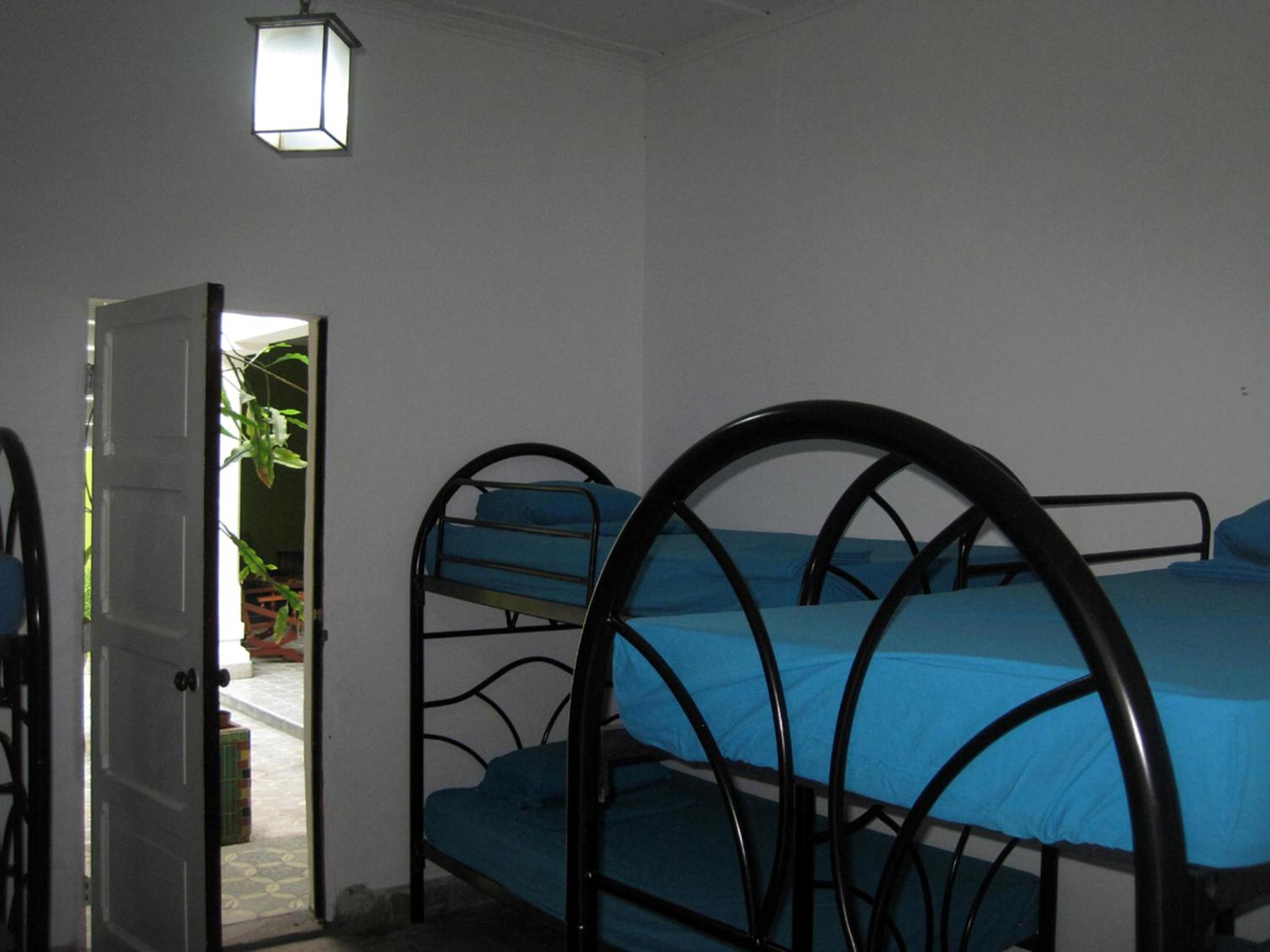 Bunk Bed in Mixed Dormitory Room photo 2