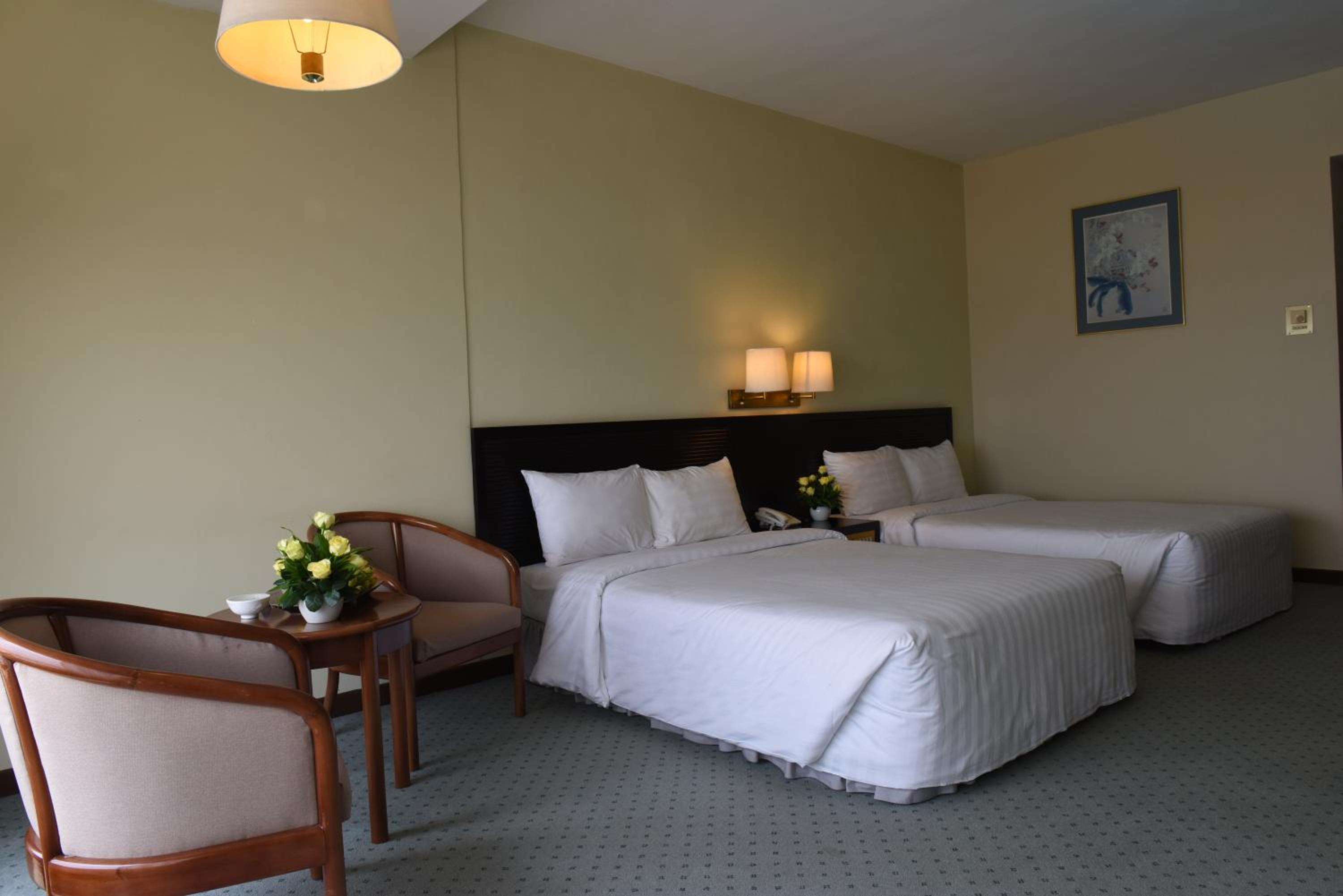 Deluxe Double or Twin Room with City View - Photo 8