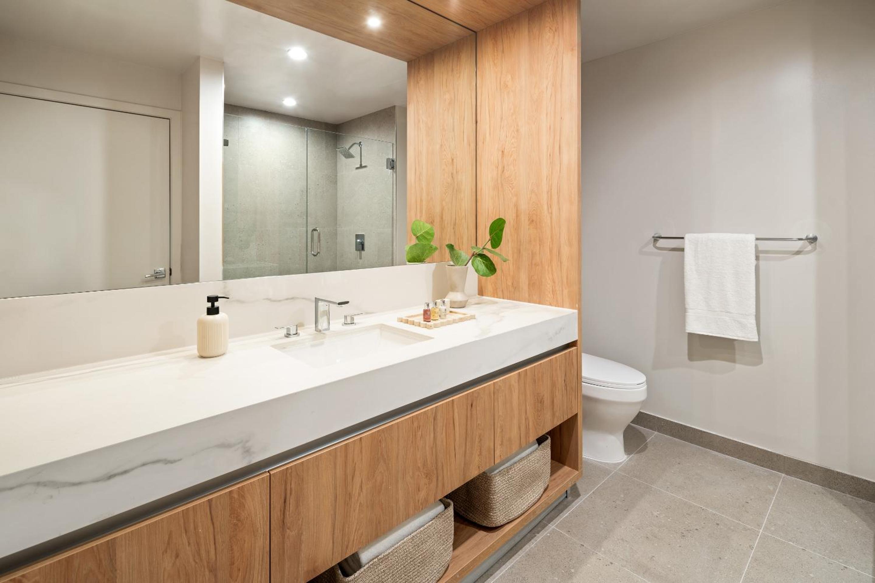 Deluxe One Bedroom King Suite