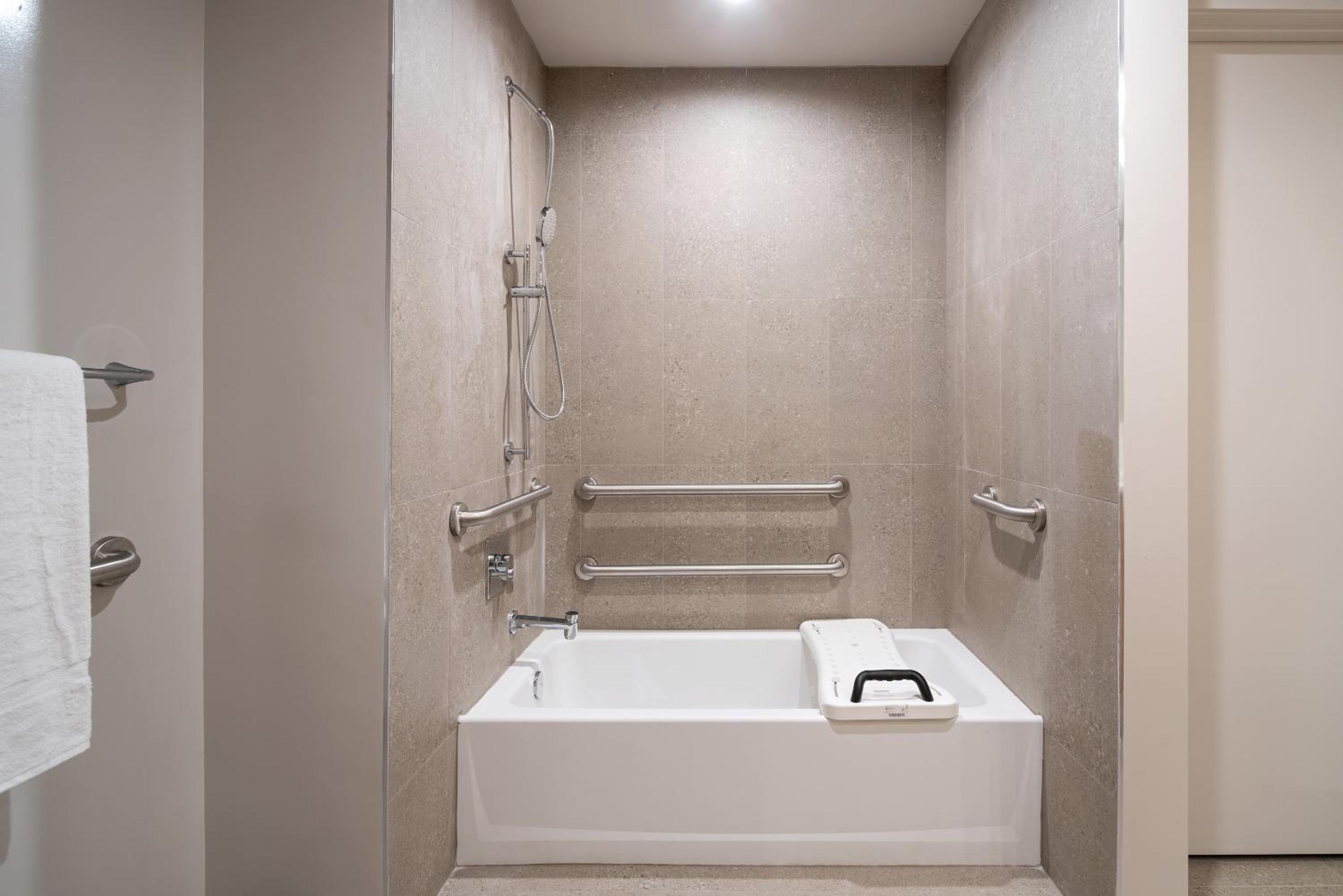 Accessible Two Bedroom King Suite photo 1