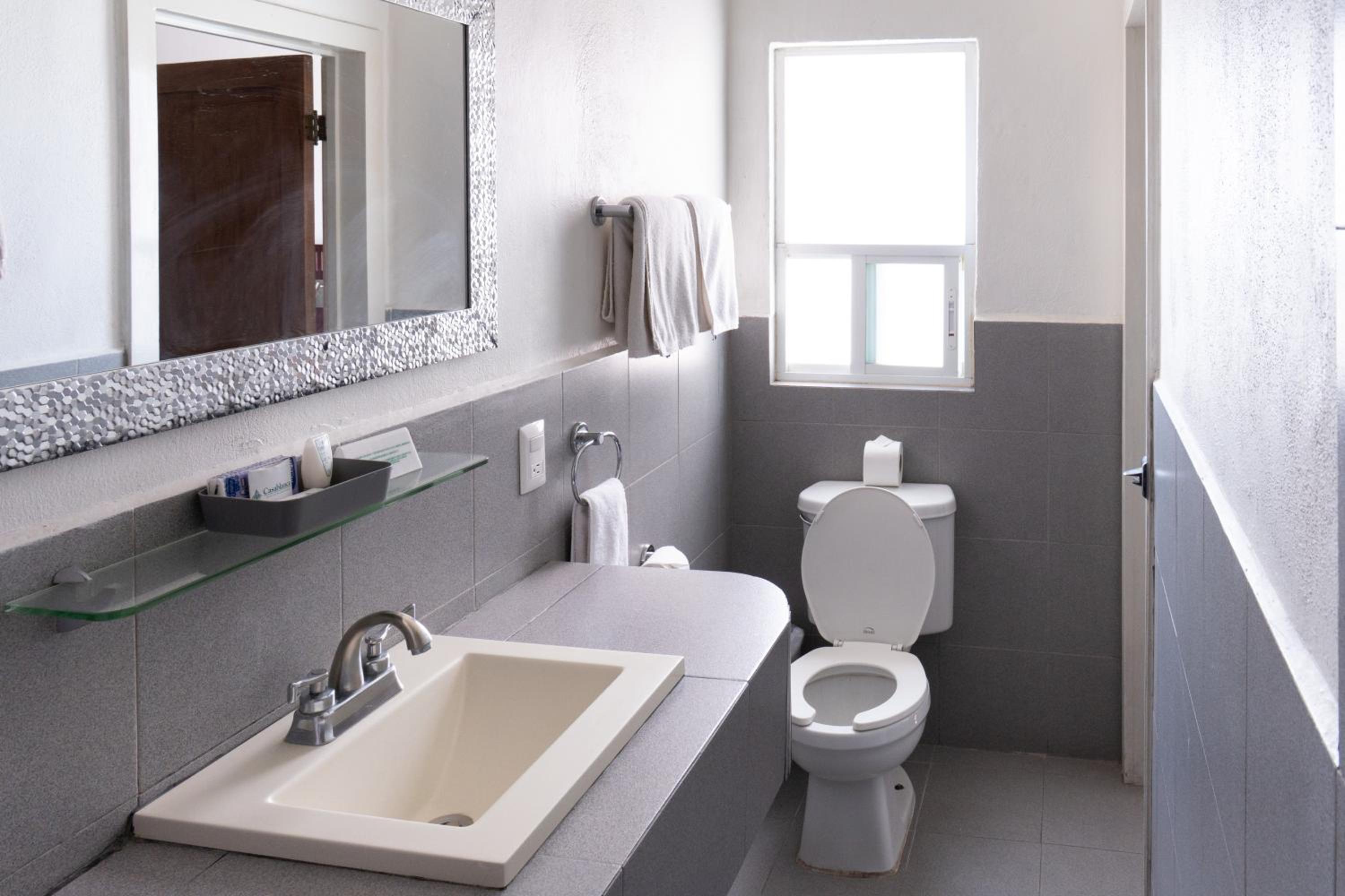 Superior Single Room photo 3