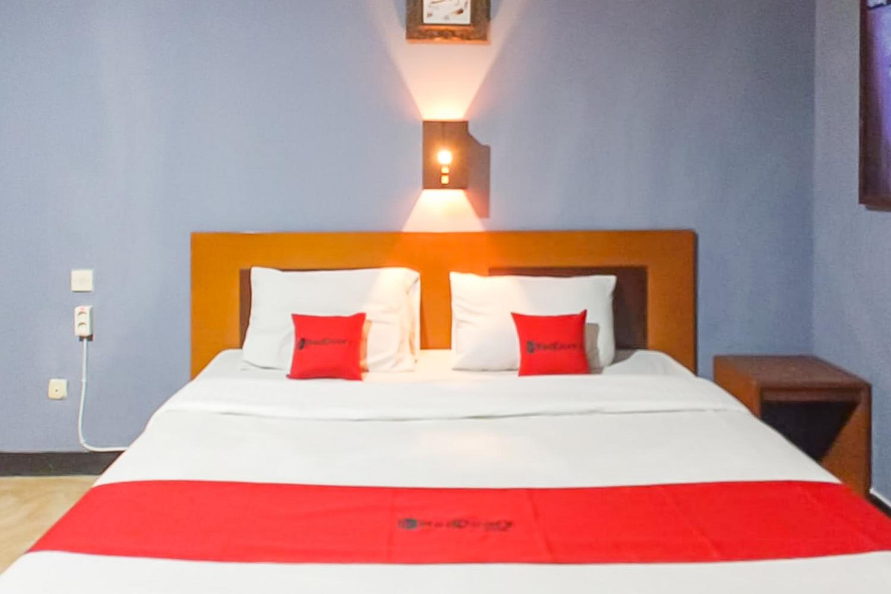 Suite - Photo 1
