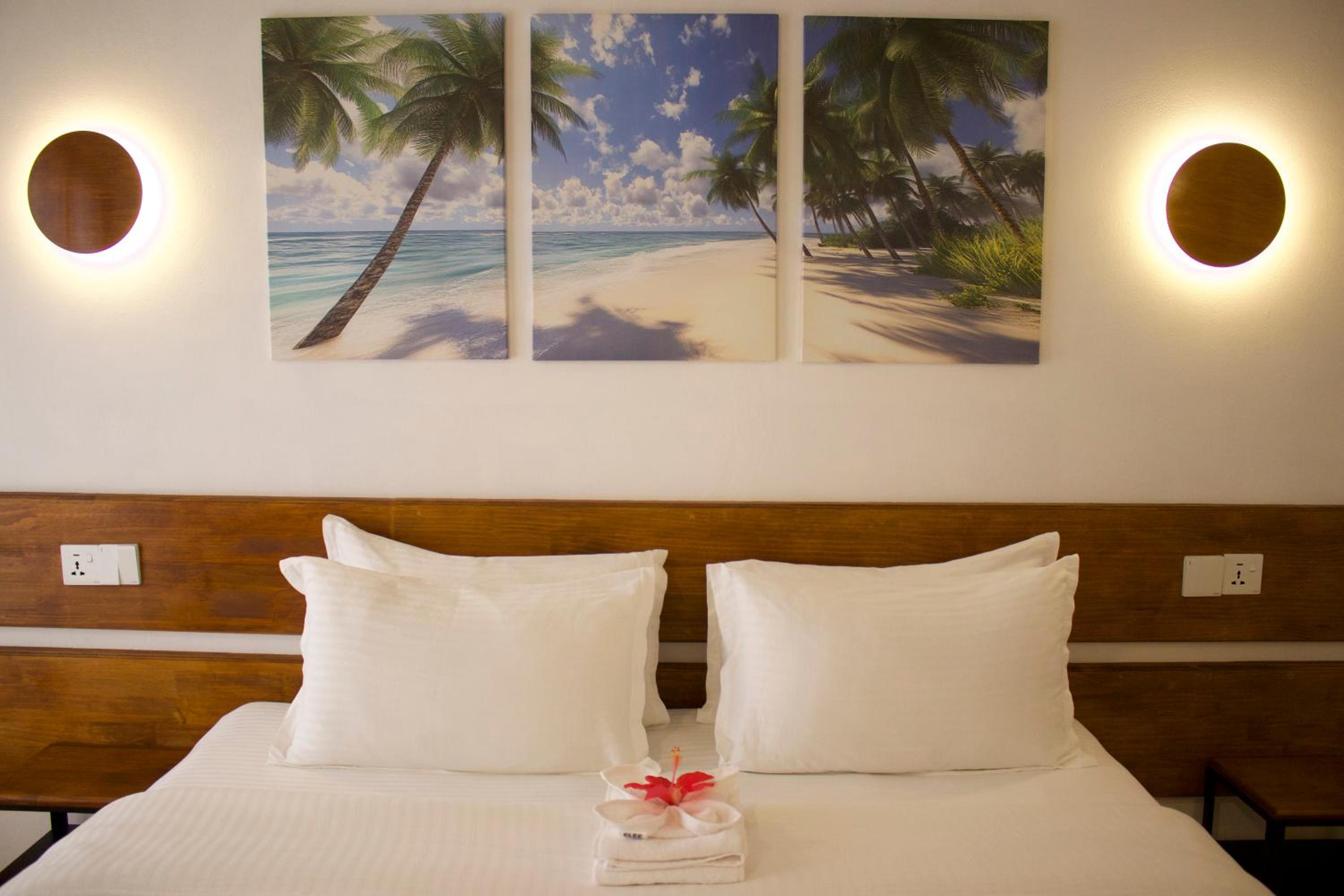 Double Room photo 3