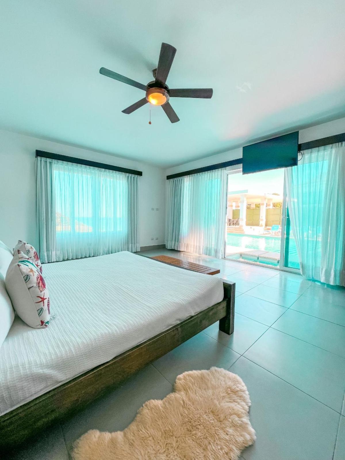 Executive Suite photo 3