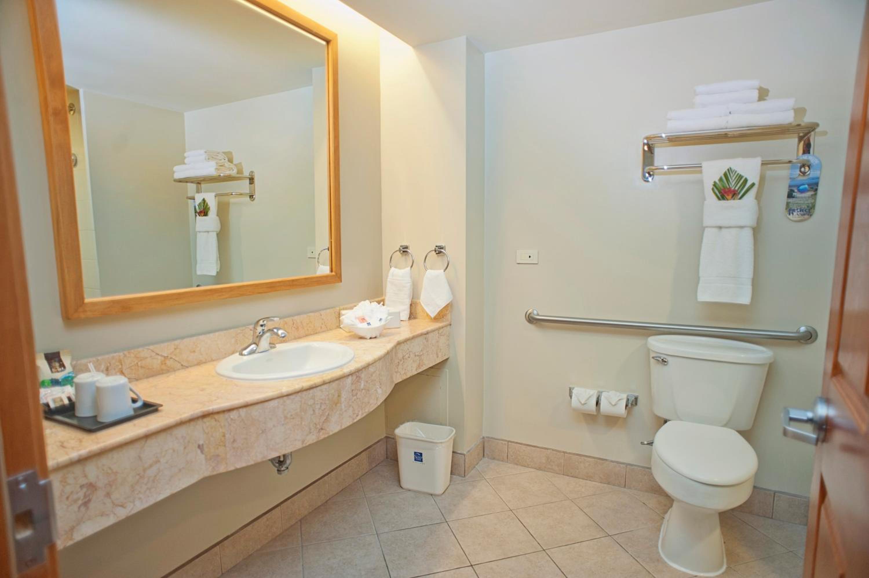 King Room - Disability Access - Photo 4