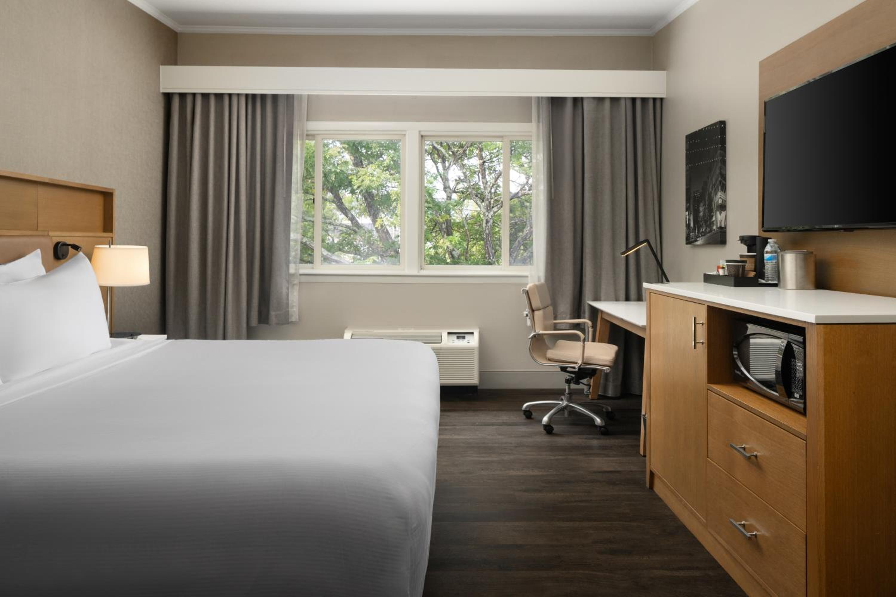 King Room with Roll-In Shower - Mobility Accessible - Photo 3