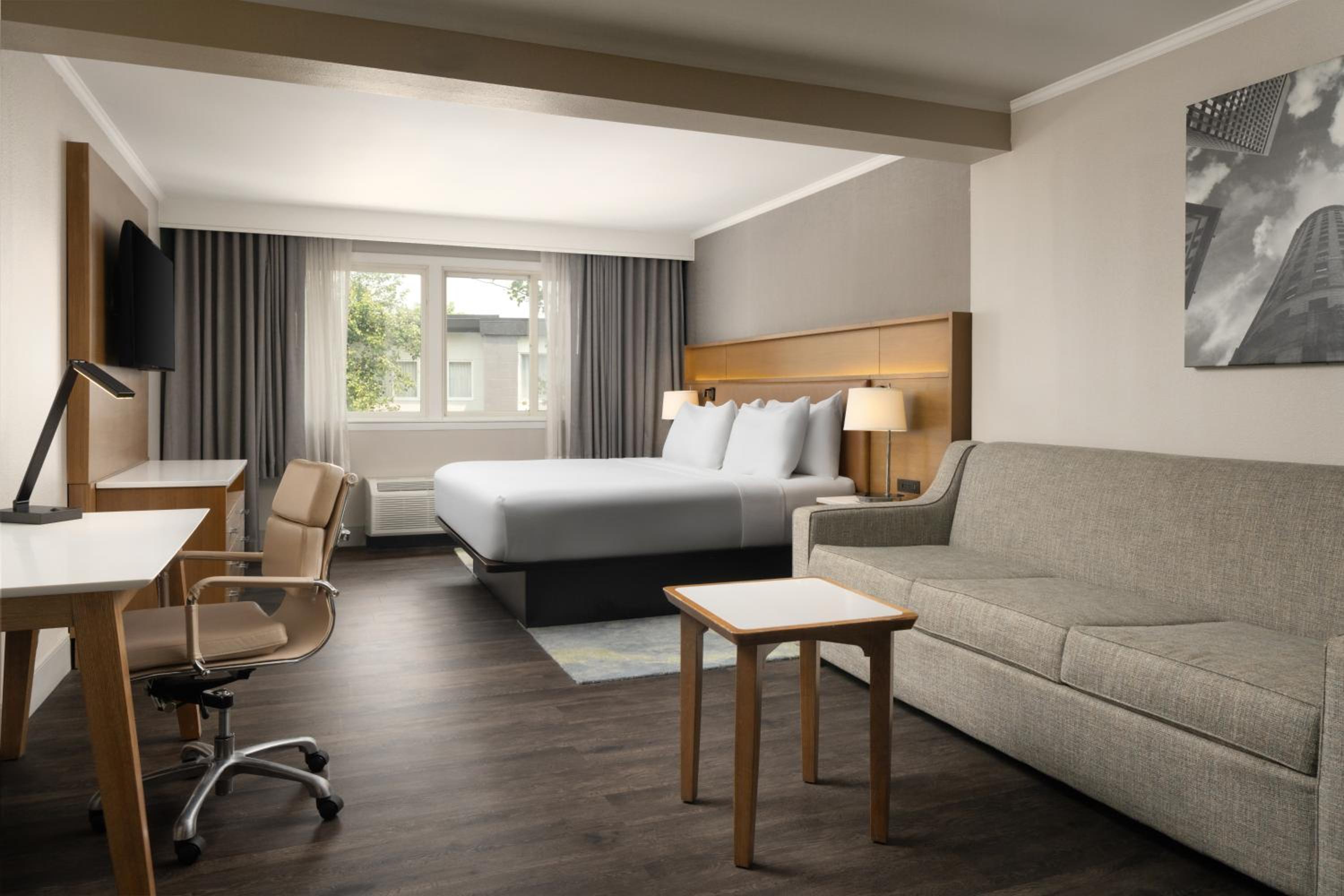 Junior King Suite with Seating Area - Photo 4