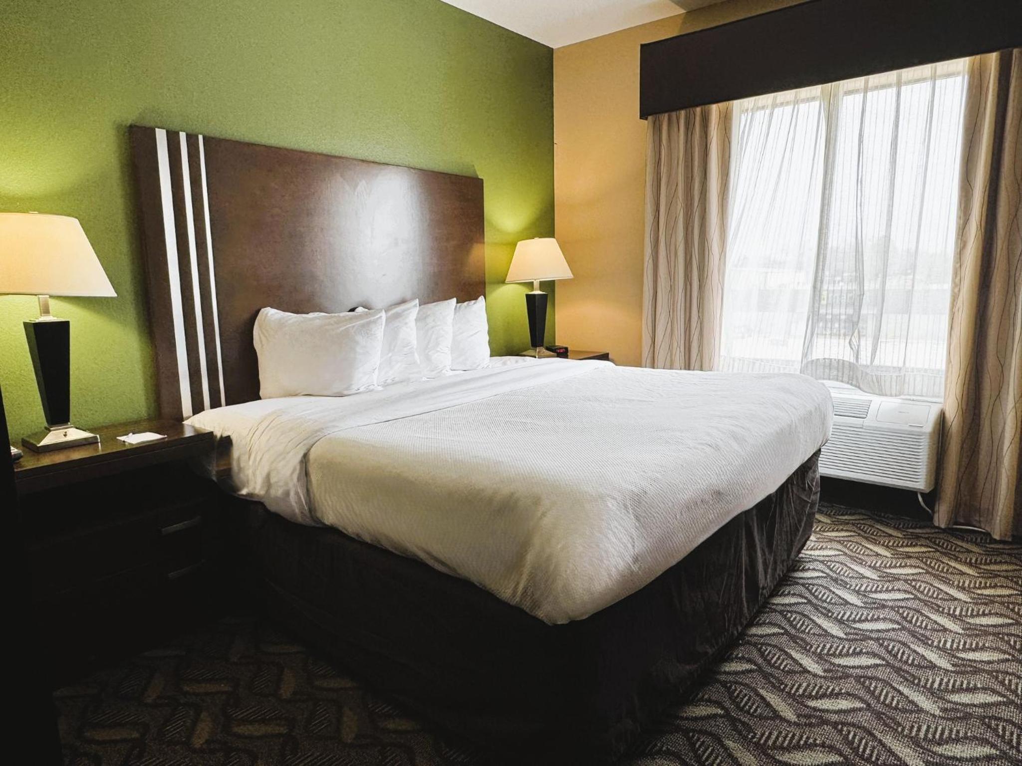 King Room - Non-Smoking - Photo 2