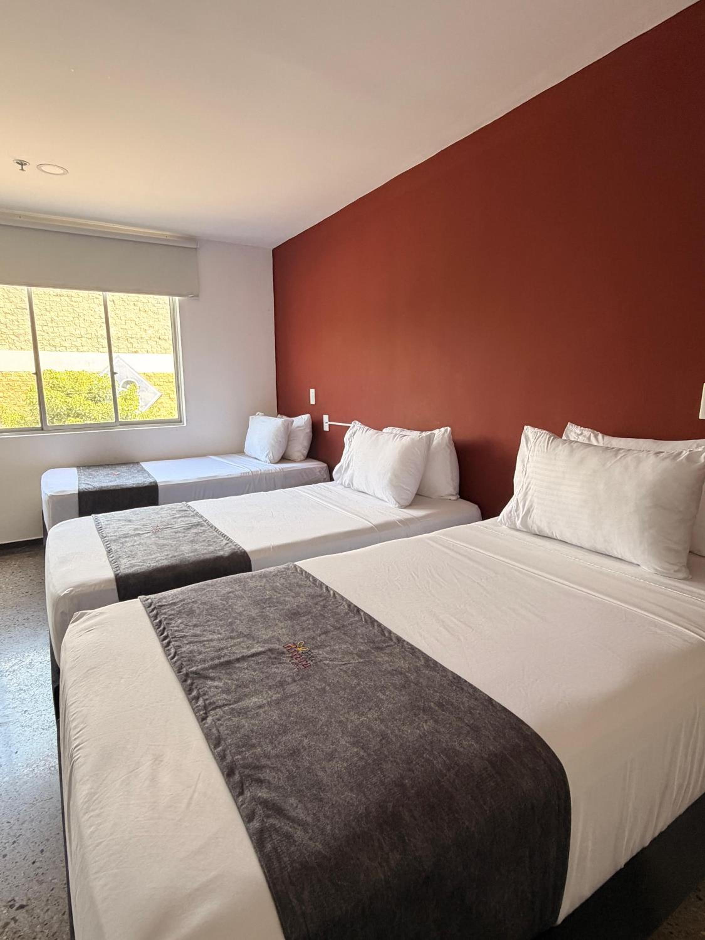 Triple Room photo 2