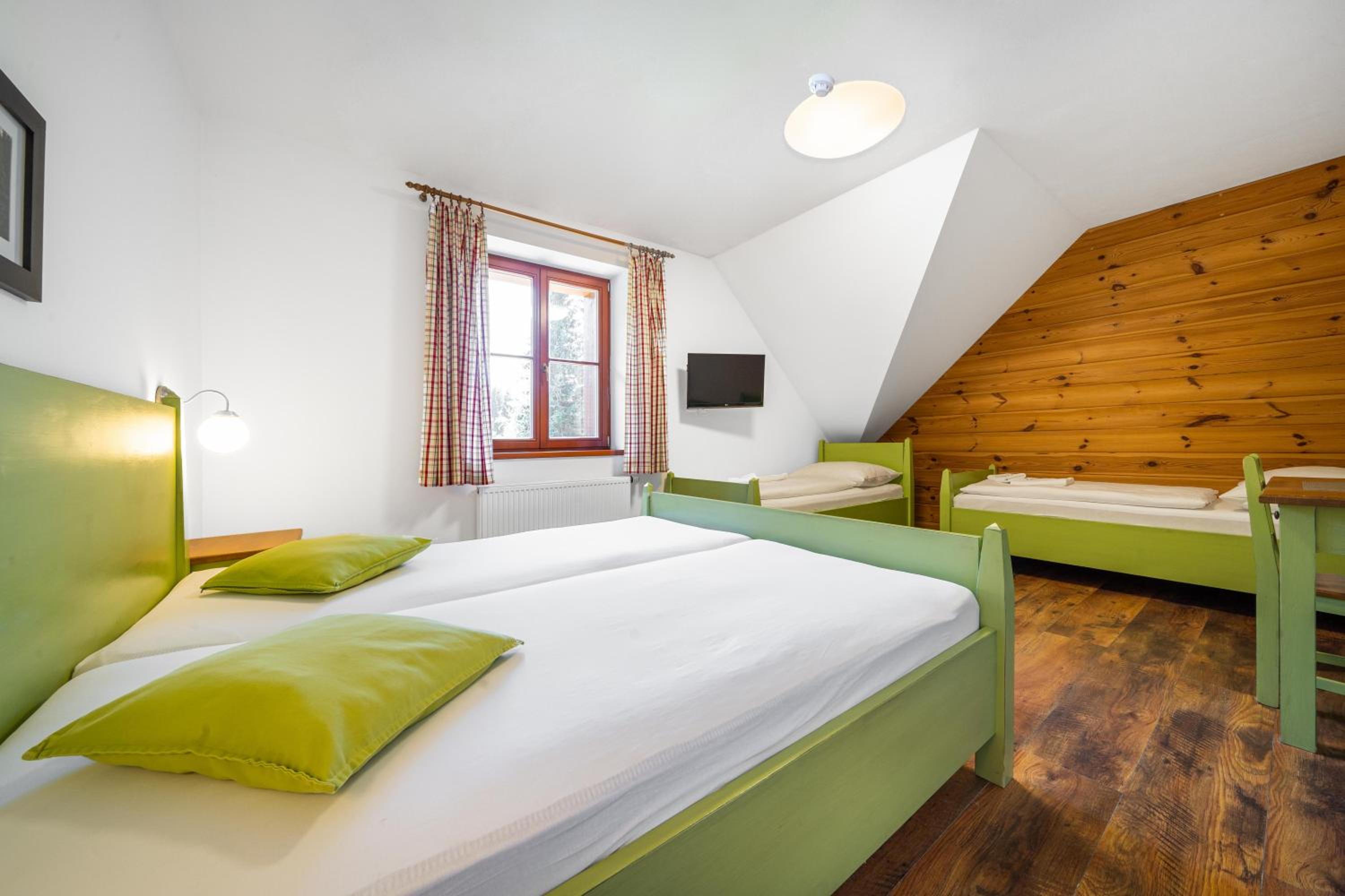 Deluxe Family Apartment
