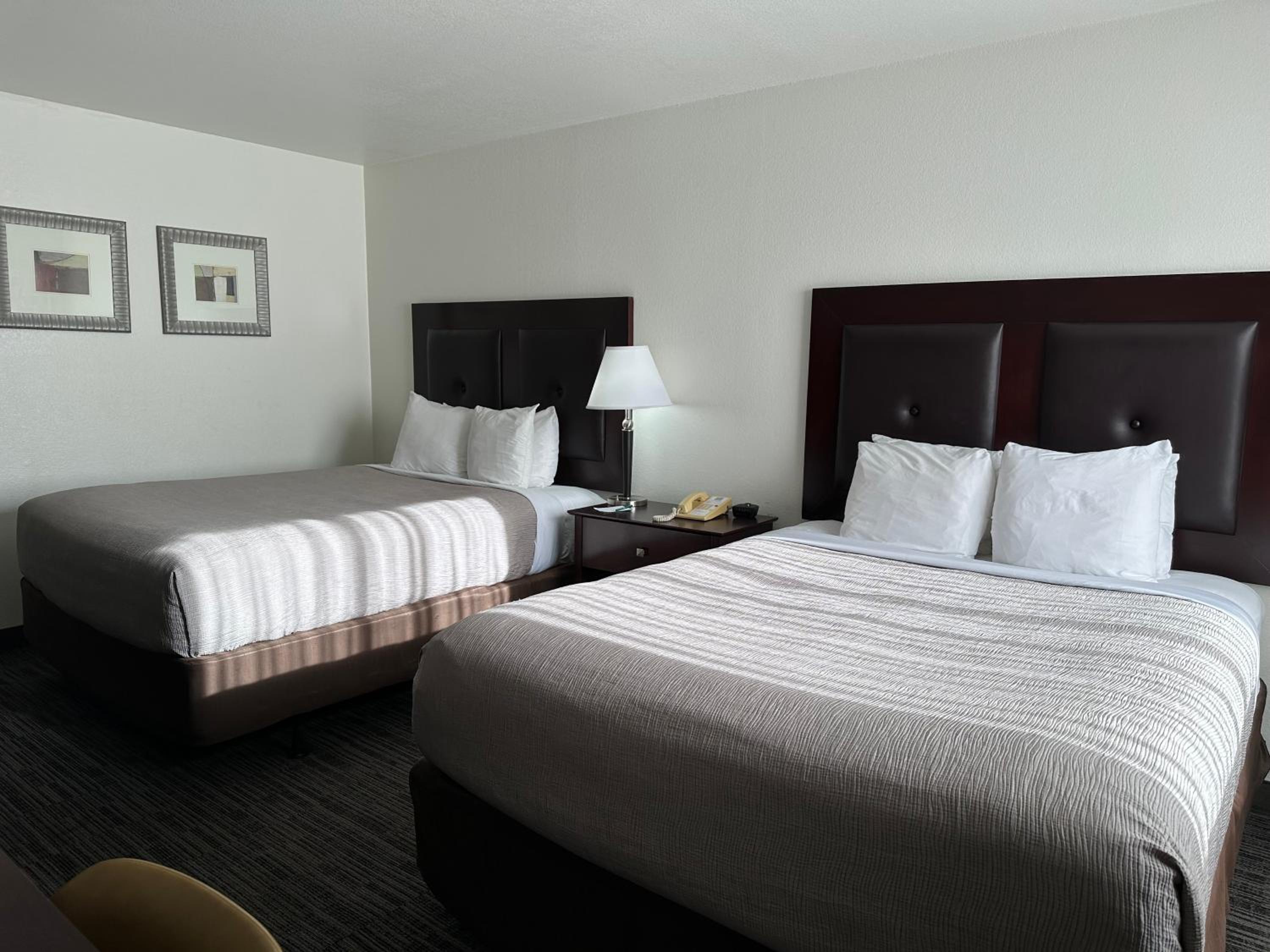Room with One King Bed and Two Queen Beds - Non-Smoking - Photo 4