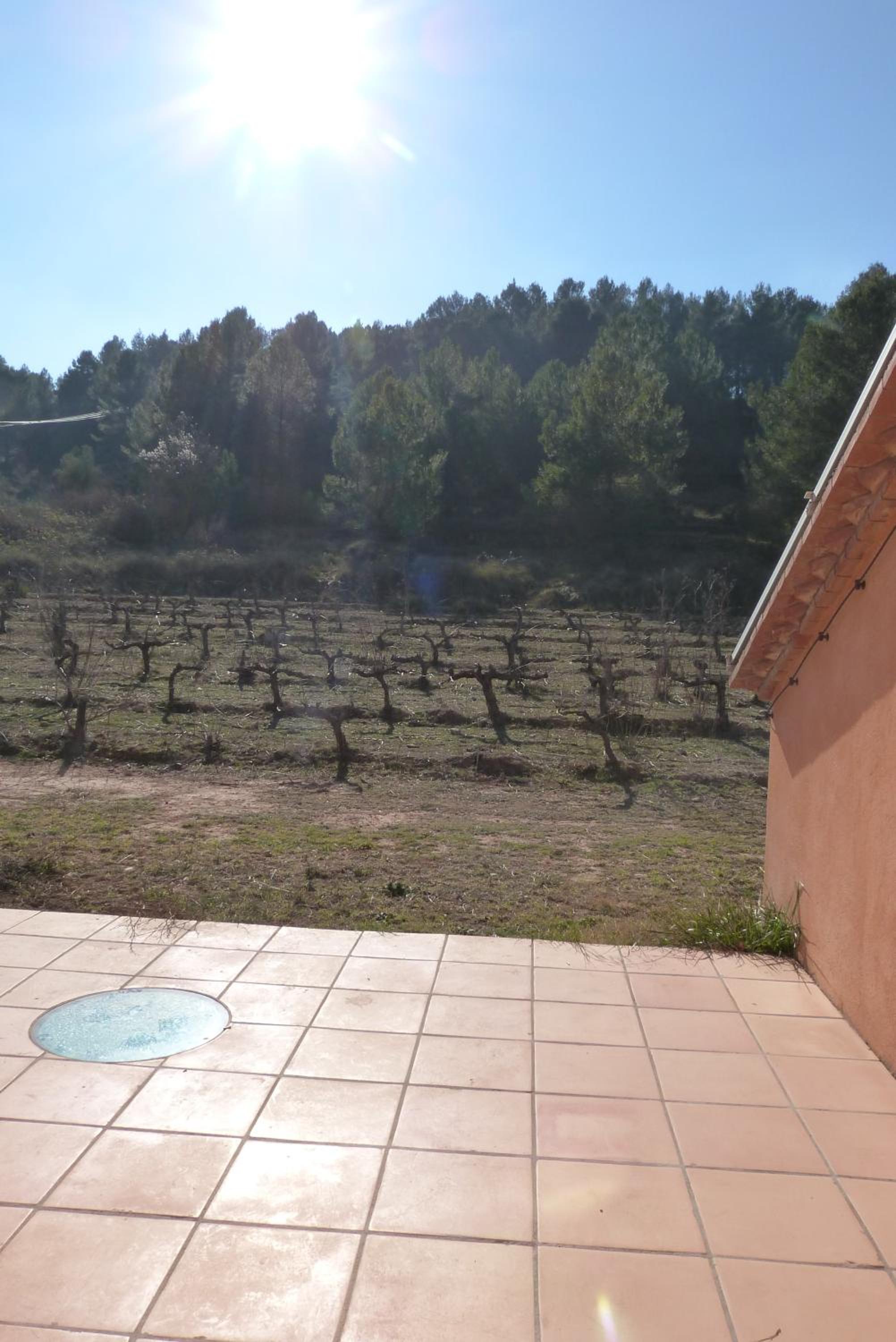 Apartment with Terrace - Photo 2
