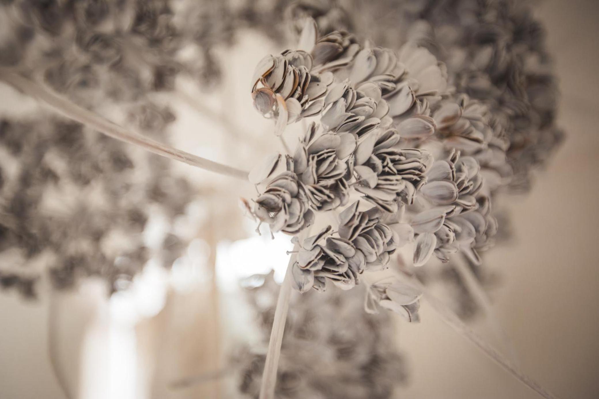Duplex Studio - Photo 12
