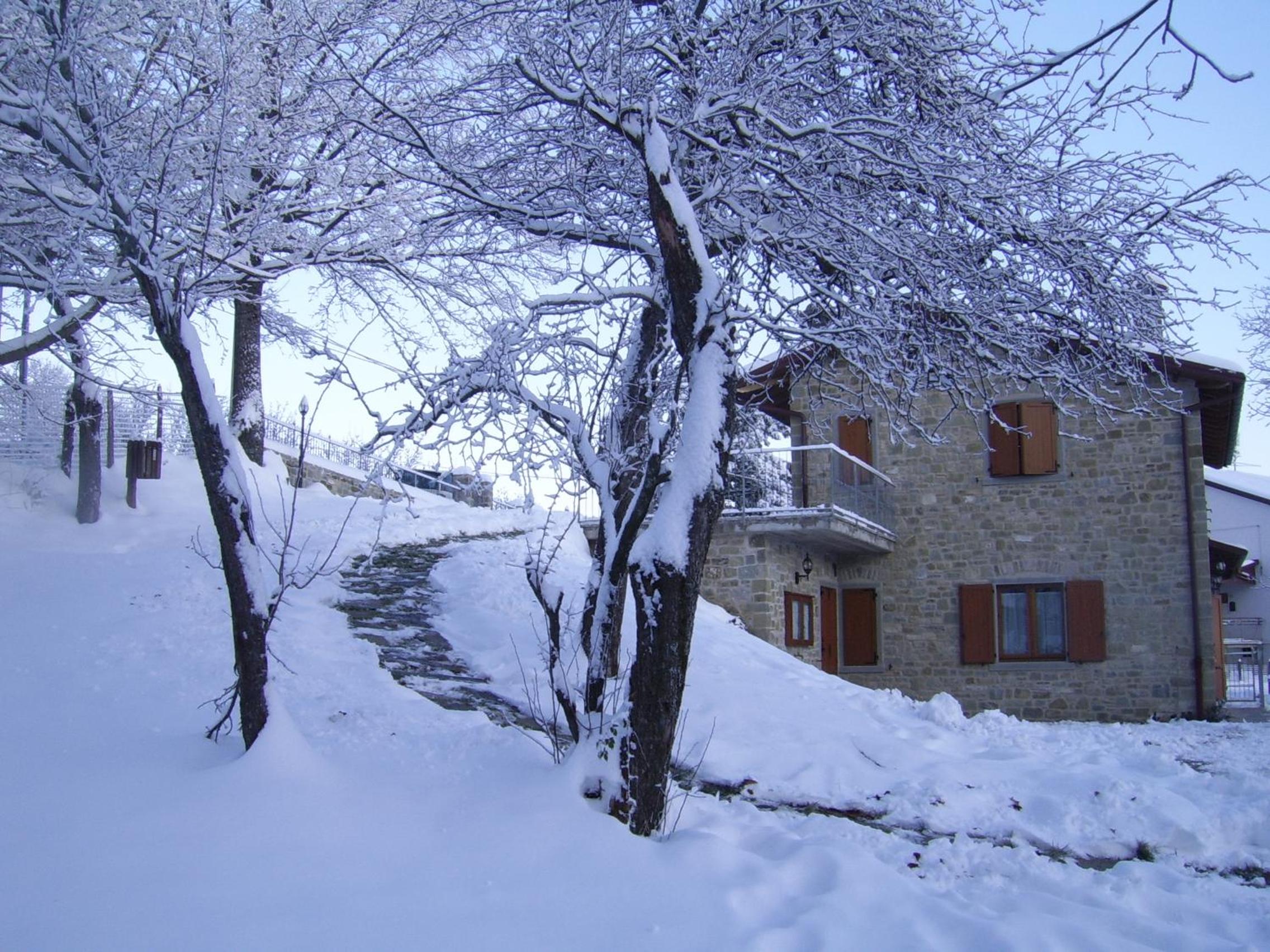 Apartment with Mountain View - Photo 4