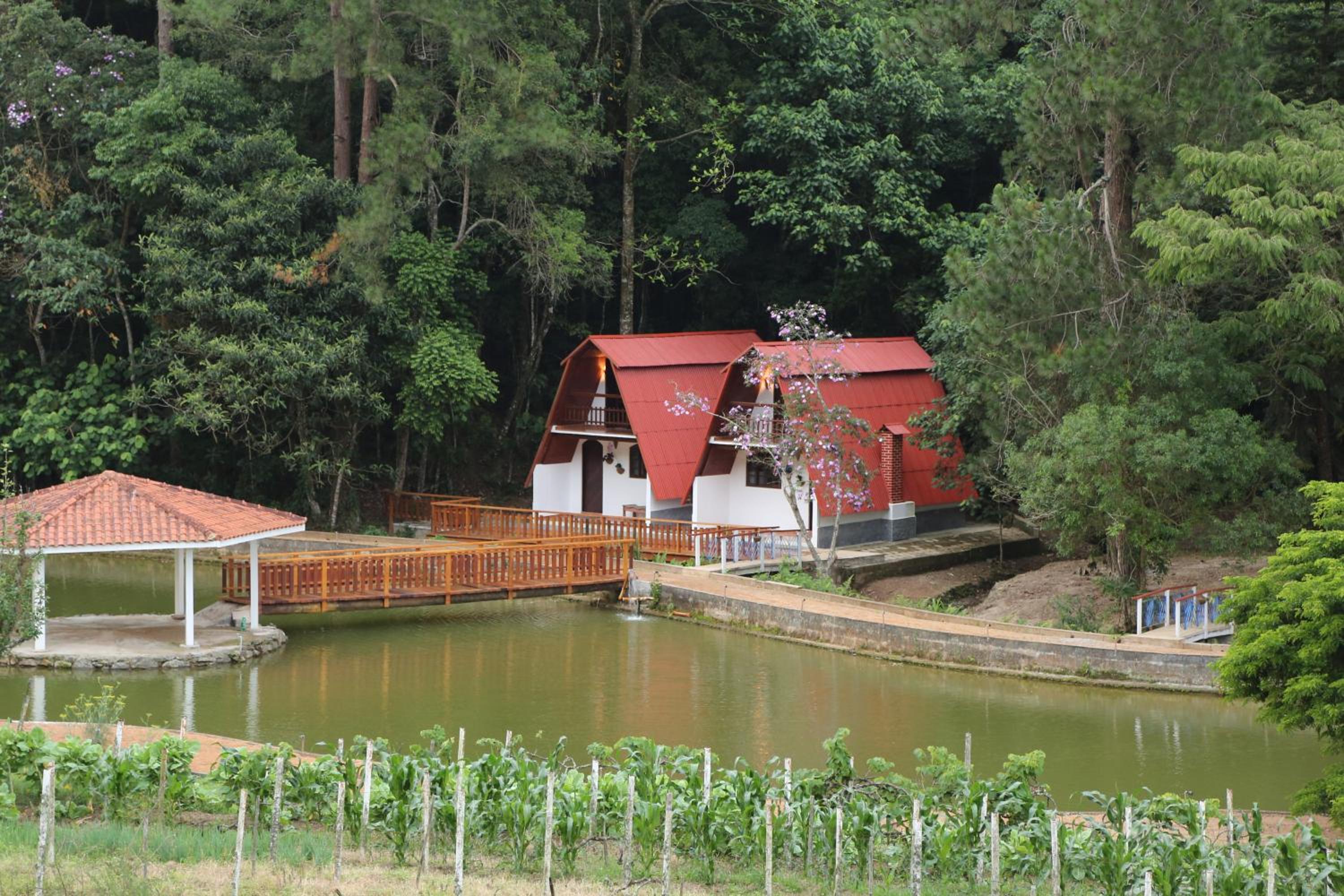 Chalet photo 3