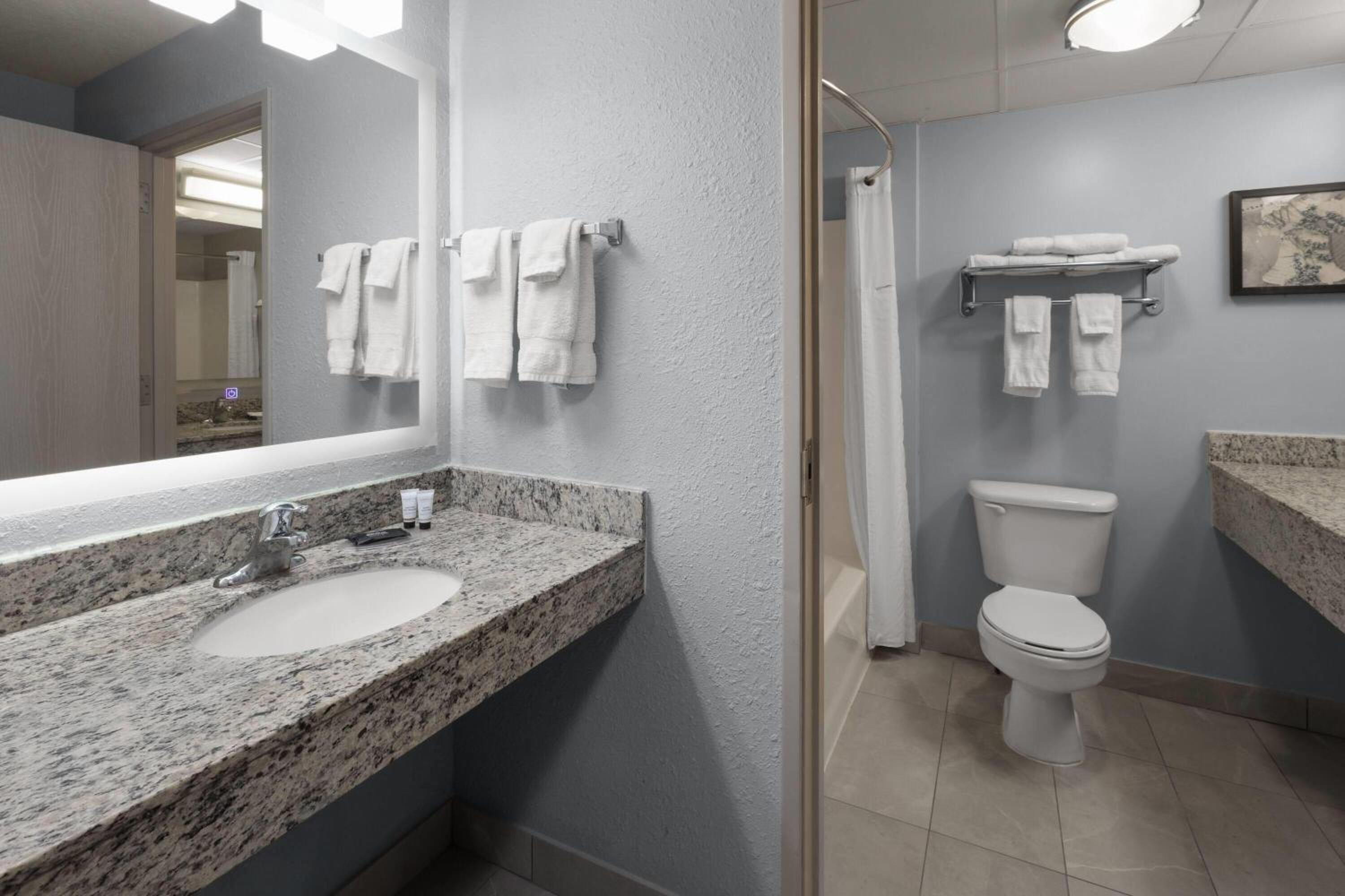 Deluxe King Room - Non-Smoking - Photo 1