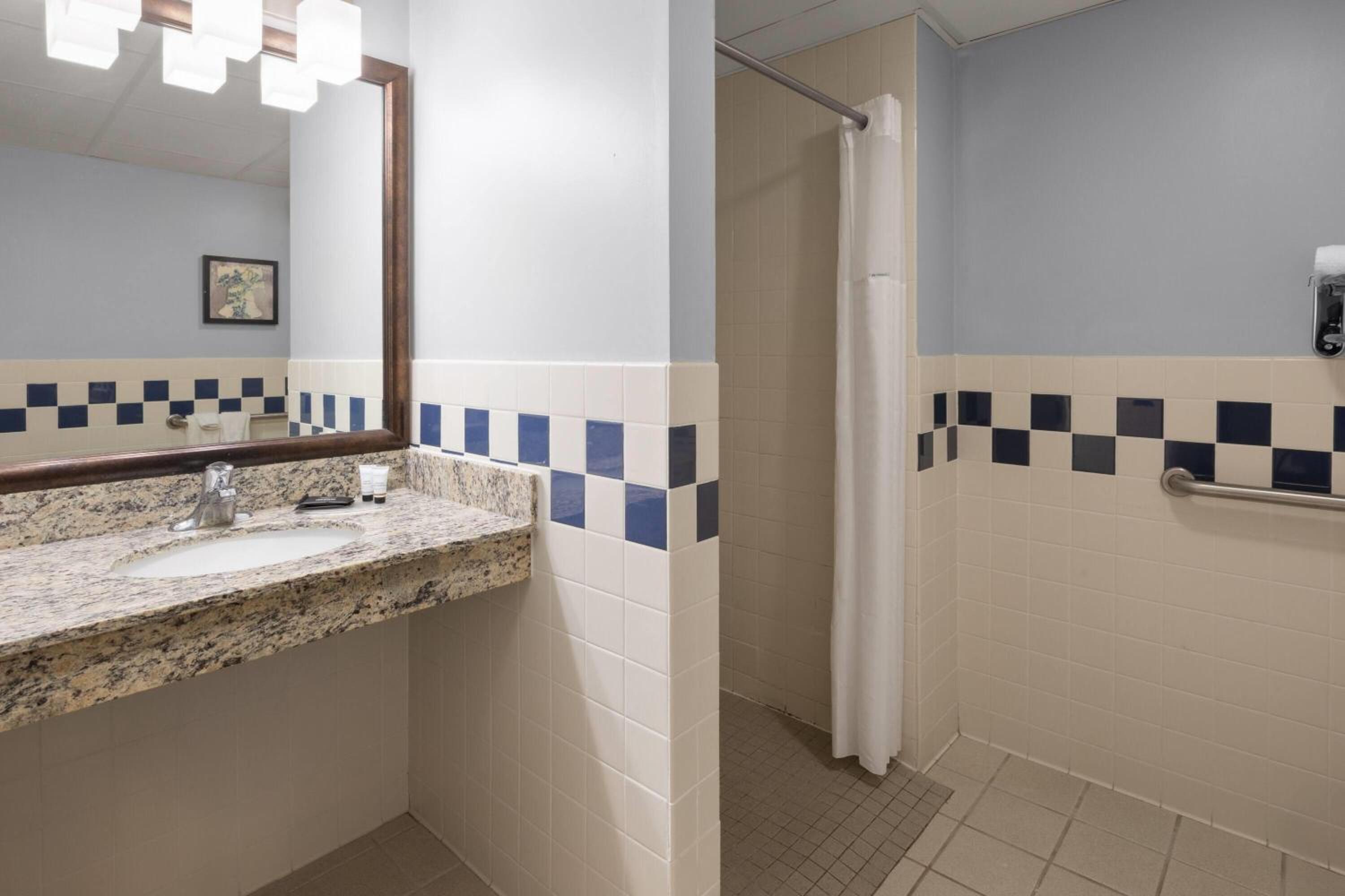 Suite - Disability Access/Non-Smoking - Photo 3